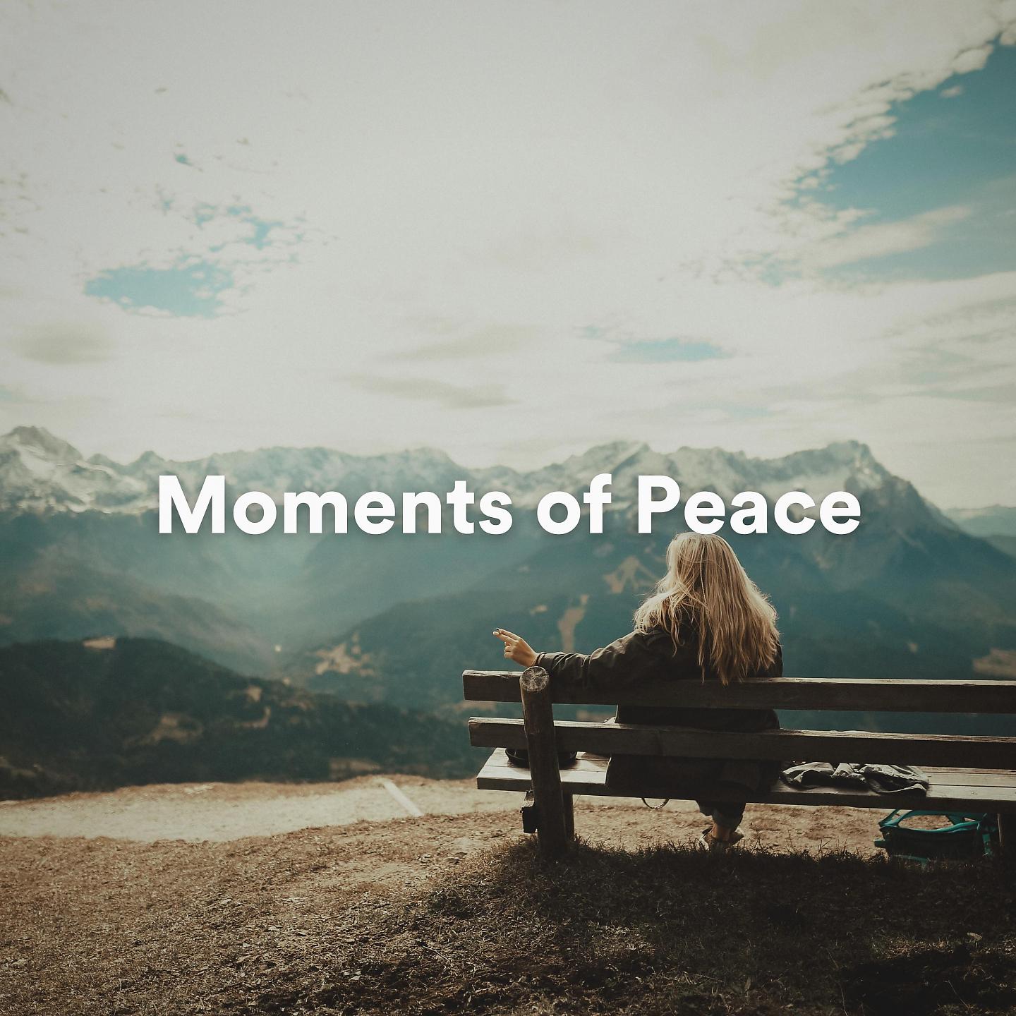 Постер альбома Moments of Peace