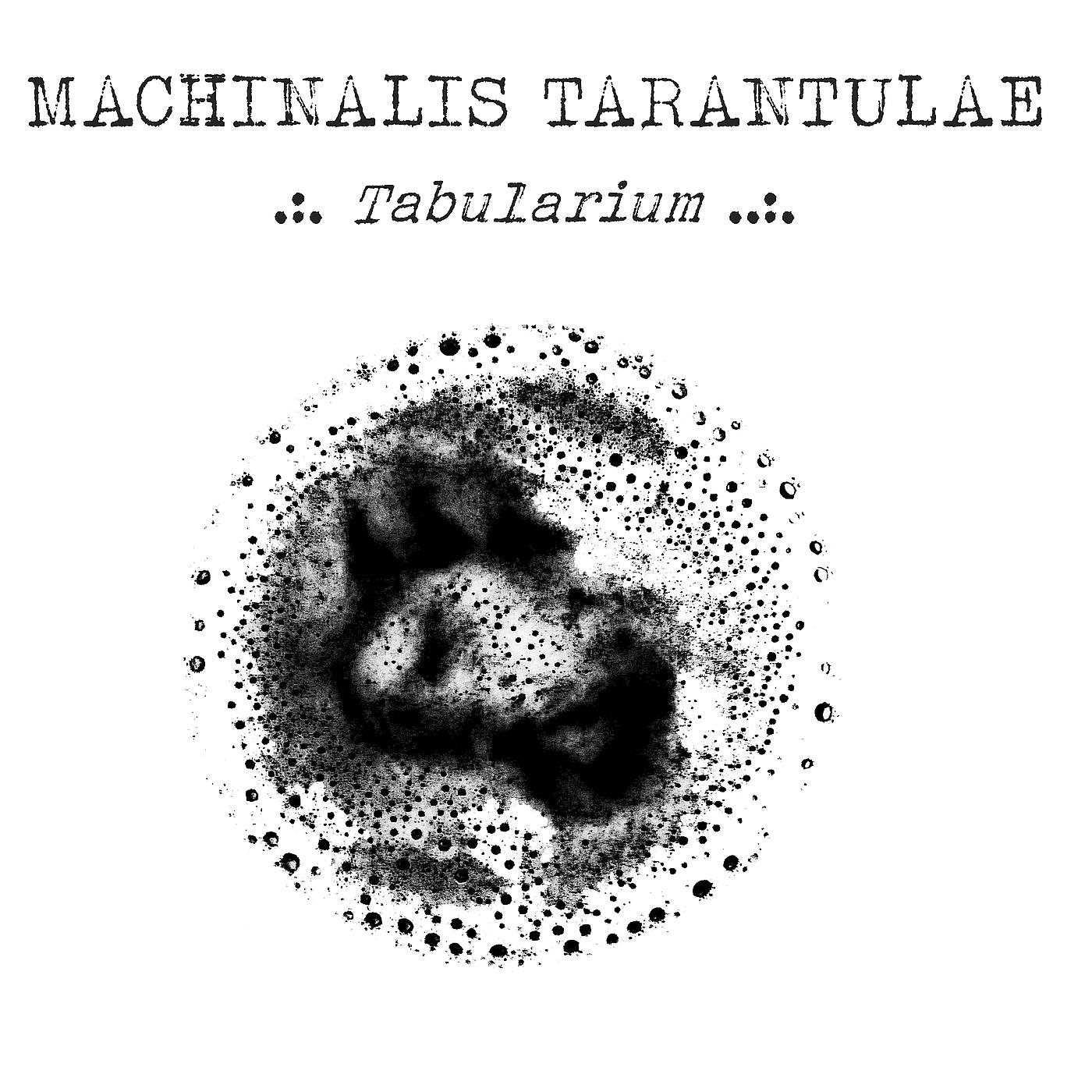 Постер альбома Tabularium