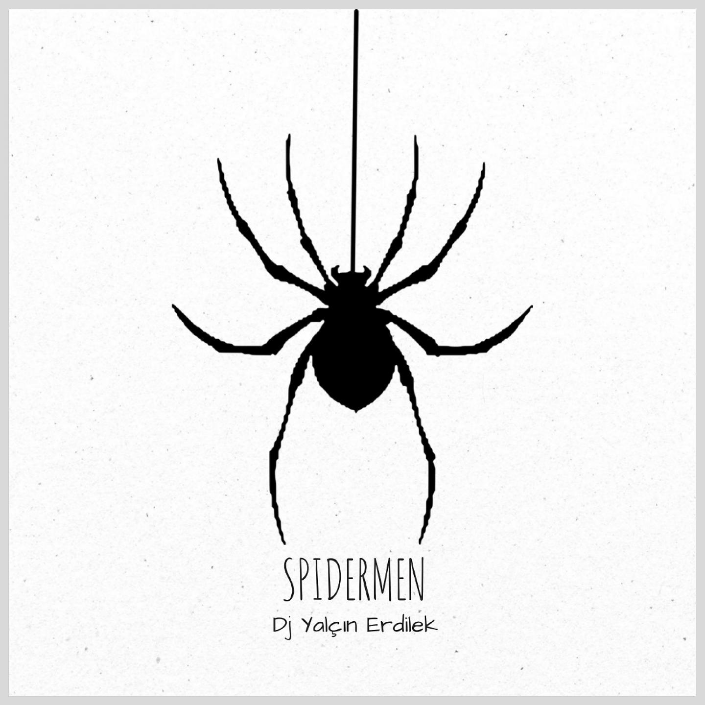 Постер альбома Spidermen