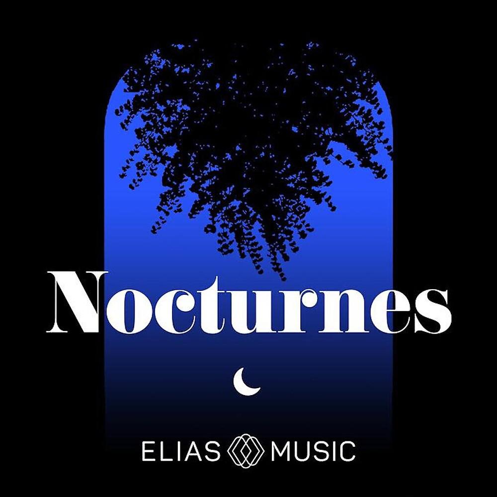 Постер альбома Nocturnes