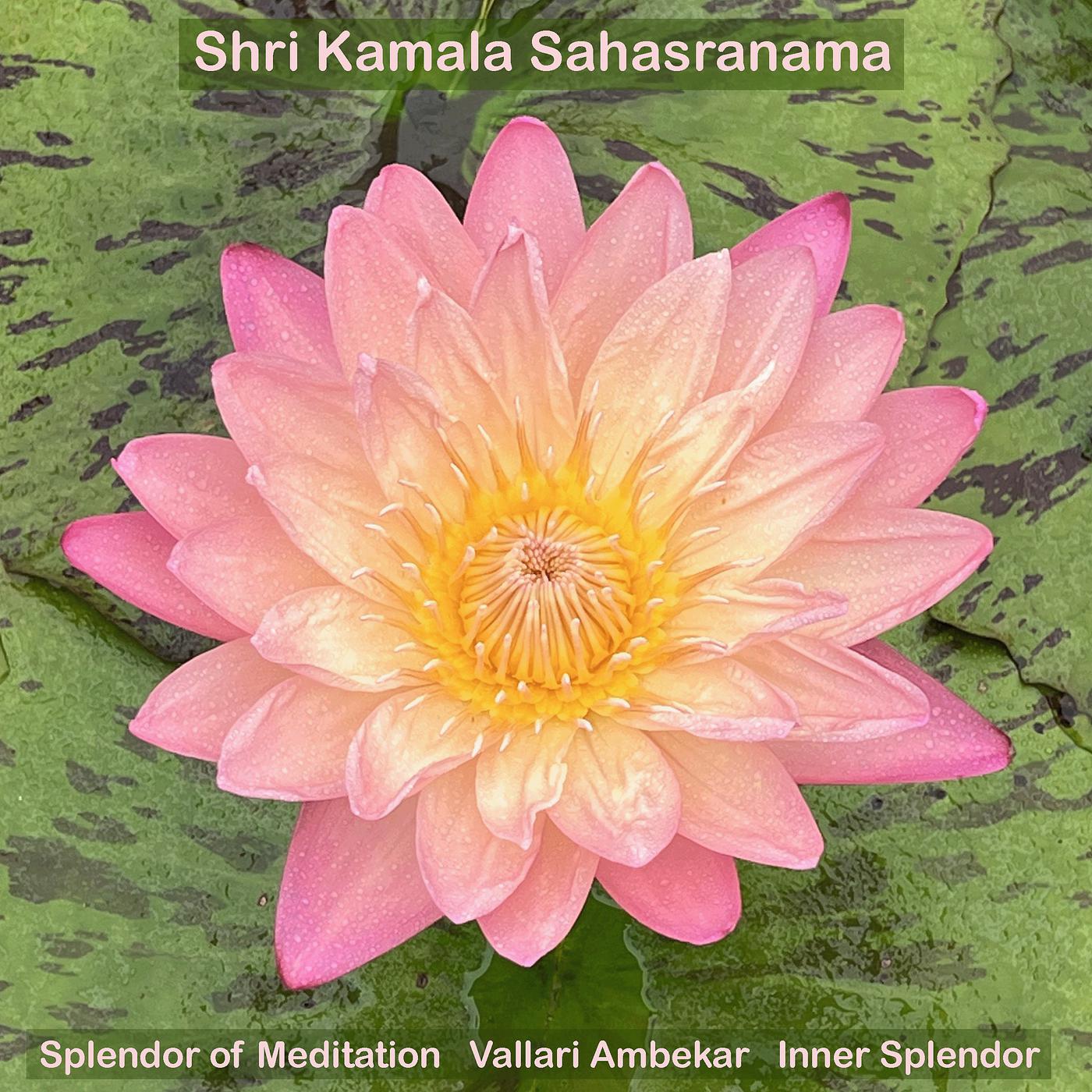 Постер альбома Shri Kamala Sahasranama