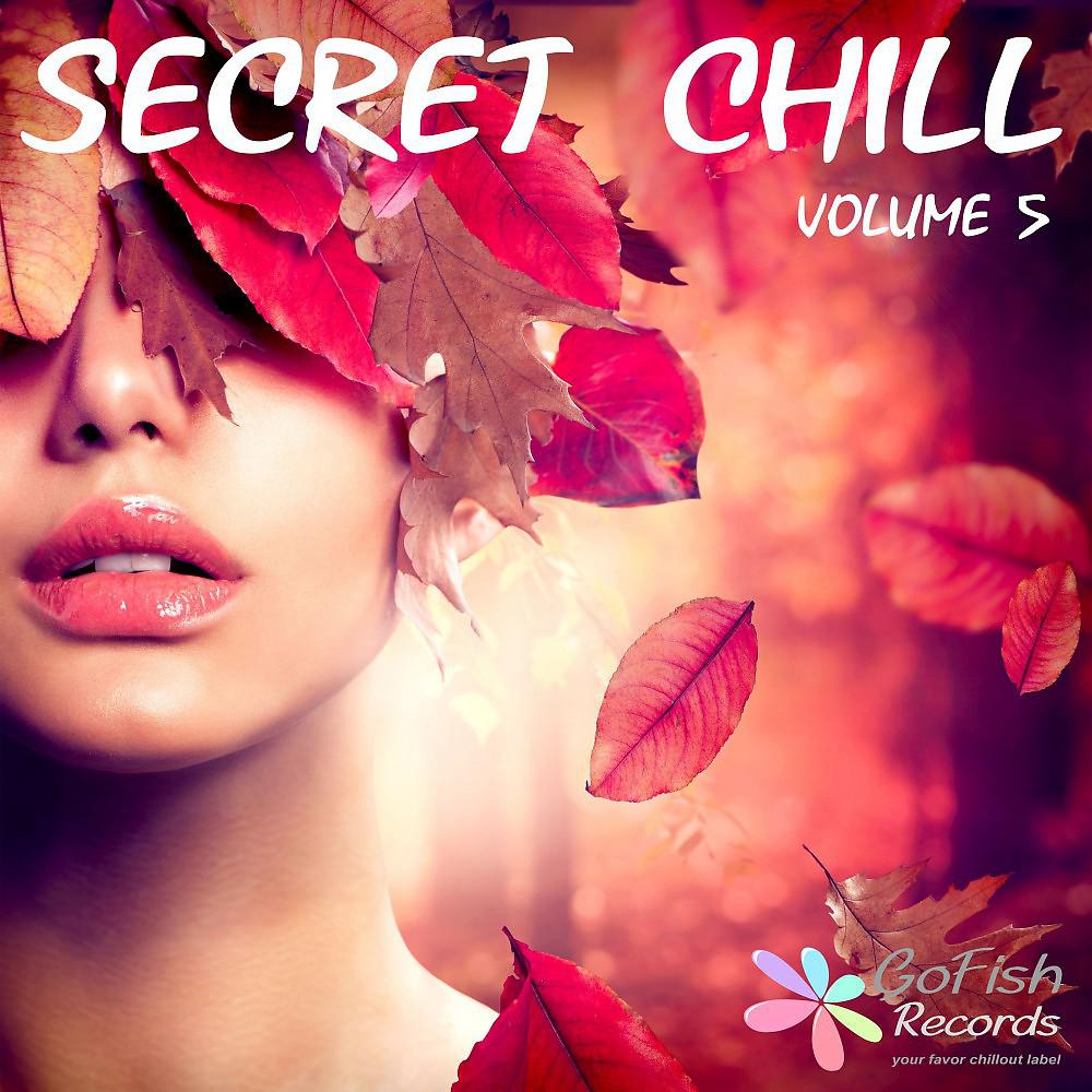 Постер альбома Secret Chill, Vol. 5