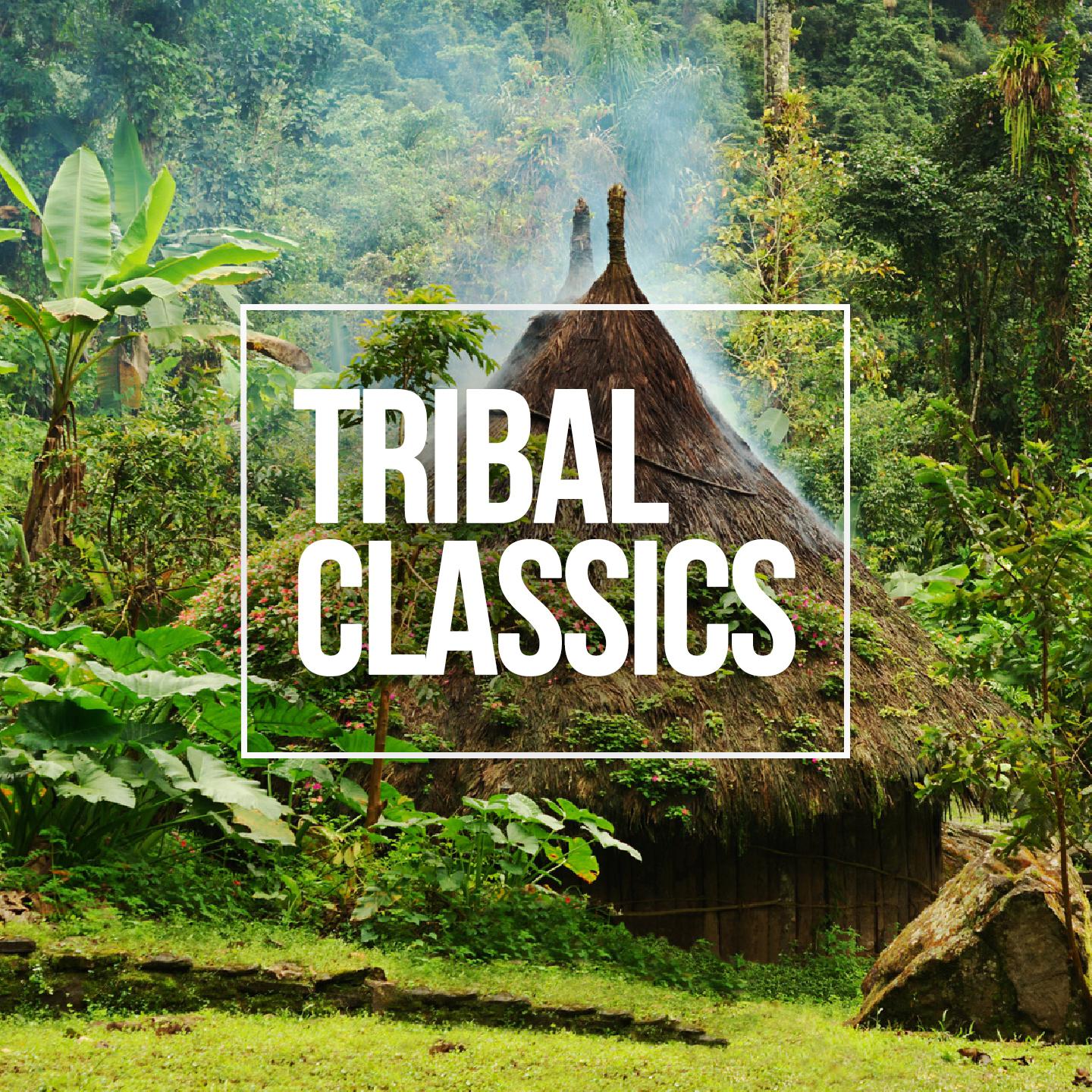 Постер альбома Tribal Classics