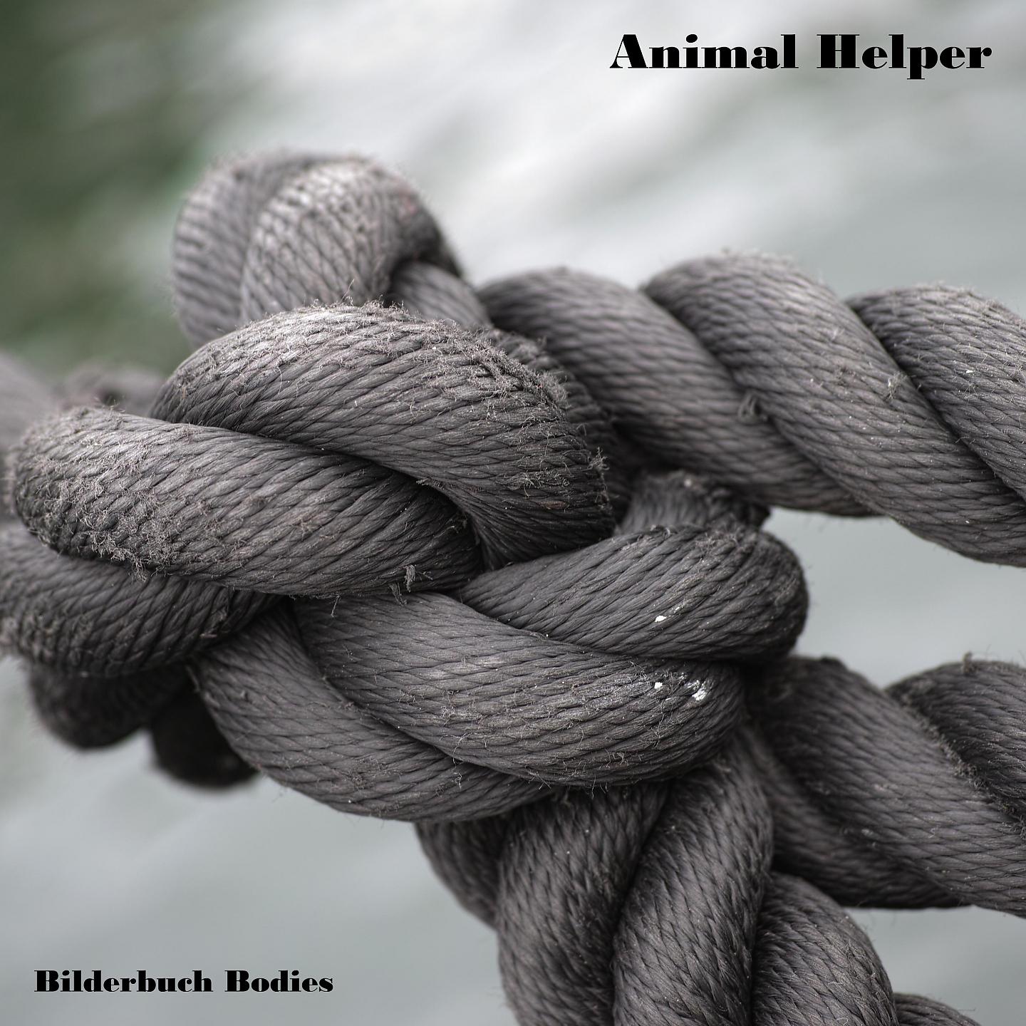 Постер альбома Animal Helper