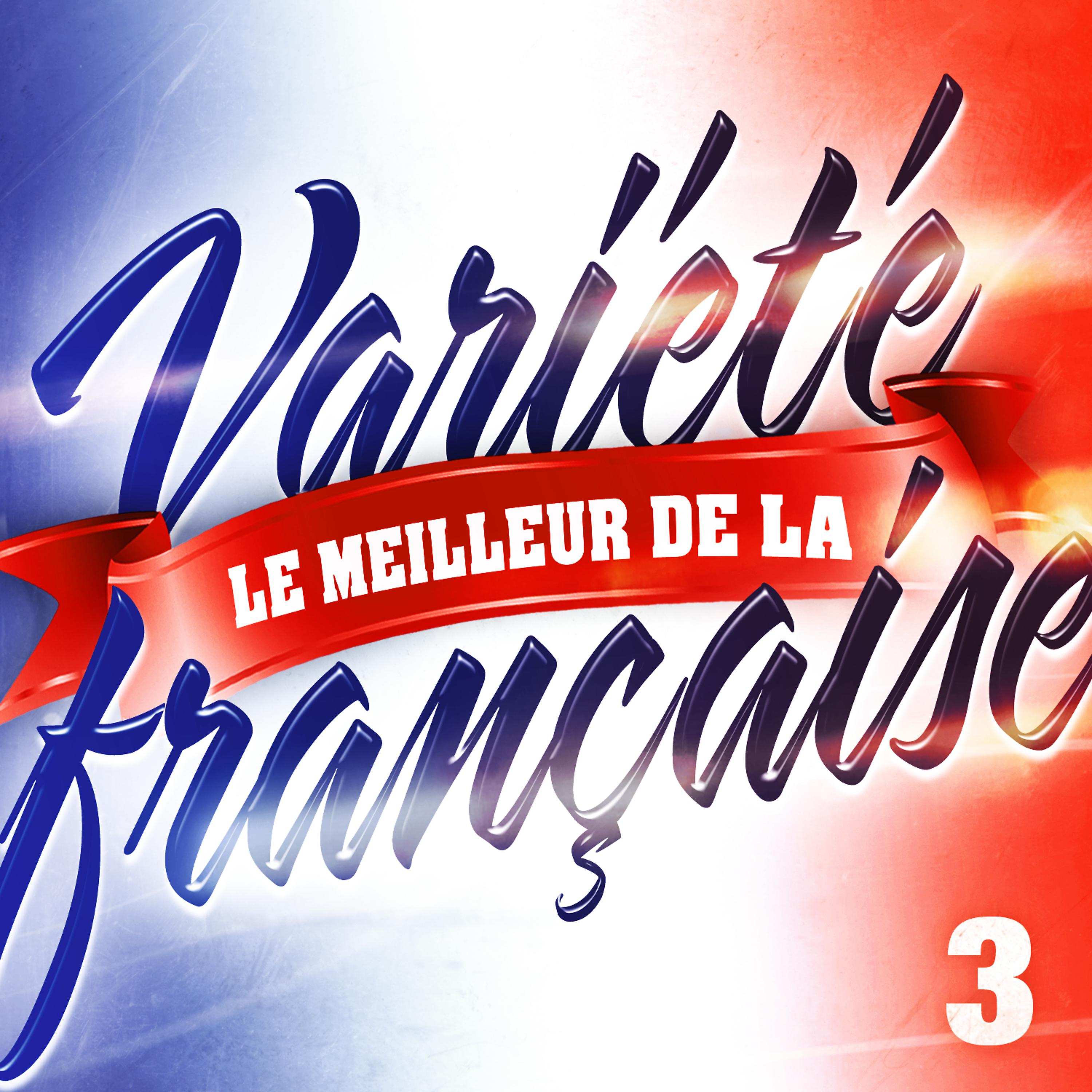 Постер альбома Le Meilleur De La Variété Française Vol. 3