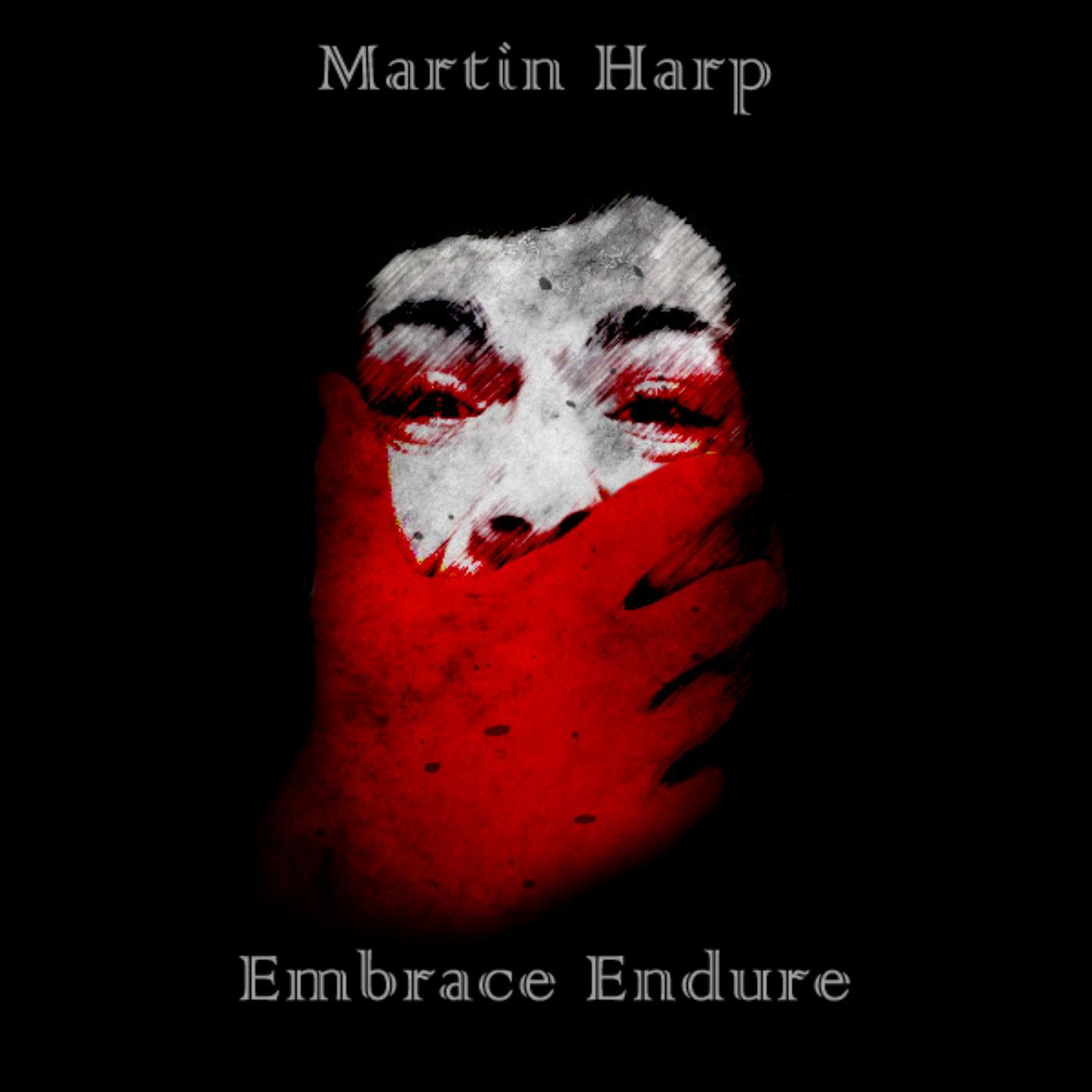 Постер альбома Embrace Endure