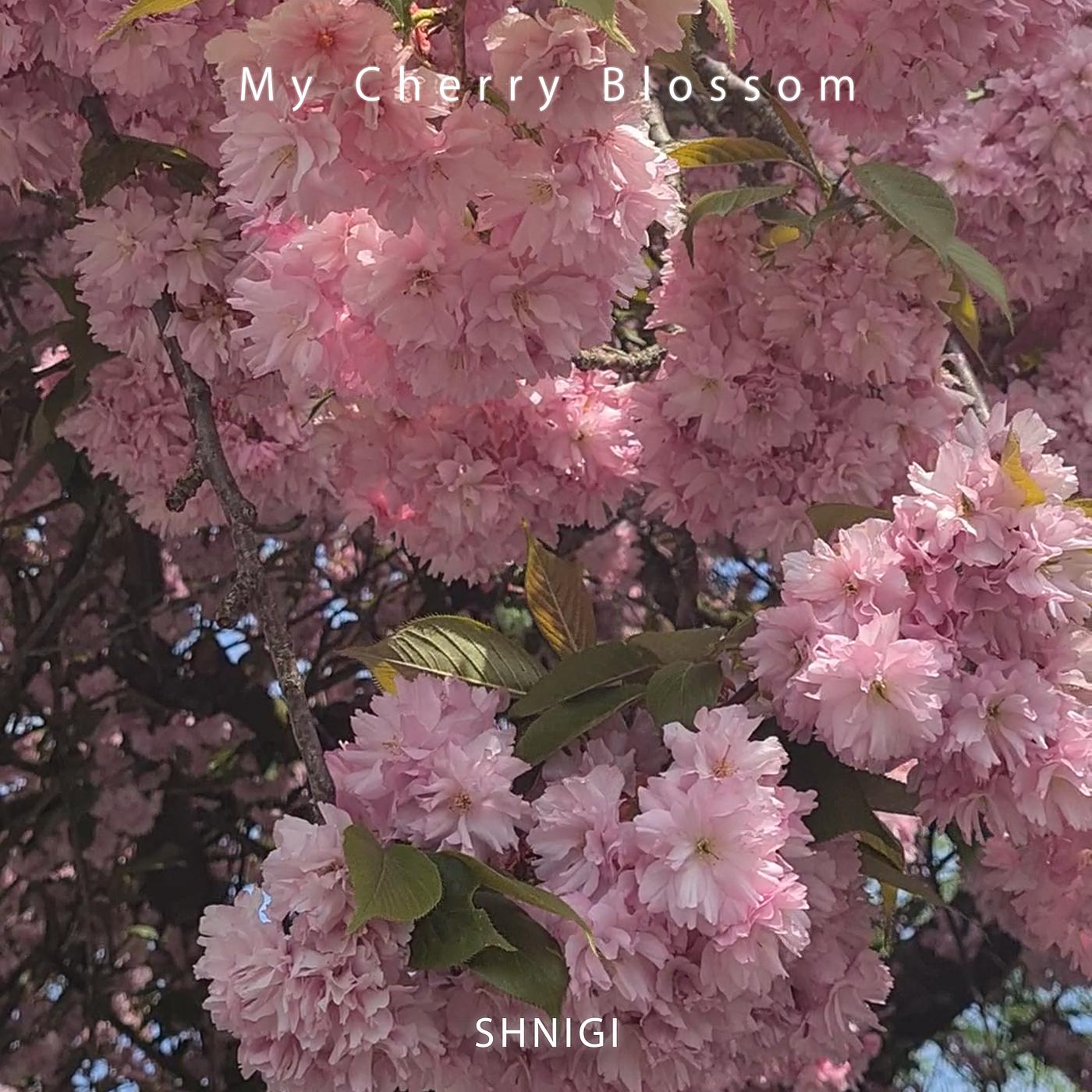 Постер альбома My Cherry Blossom