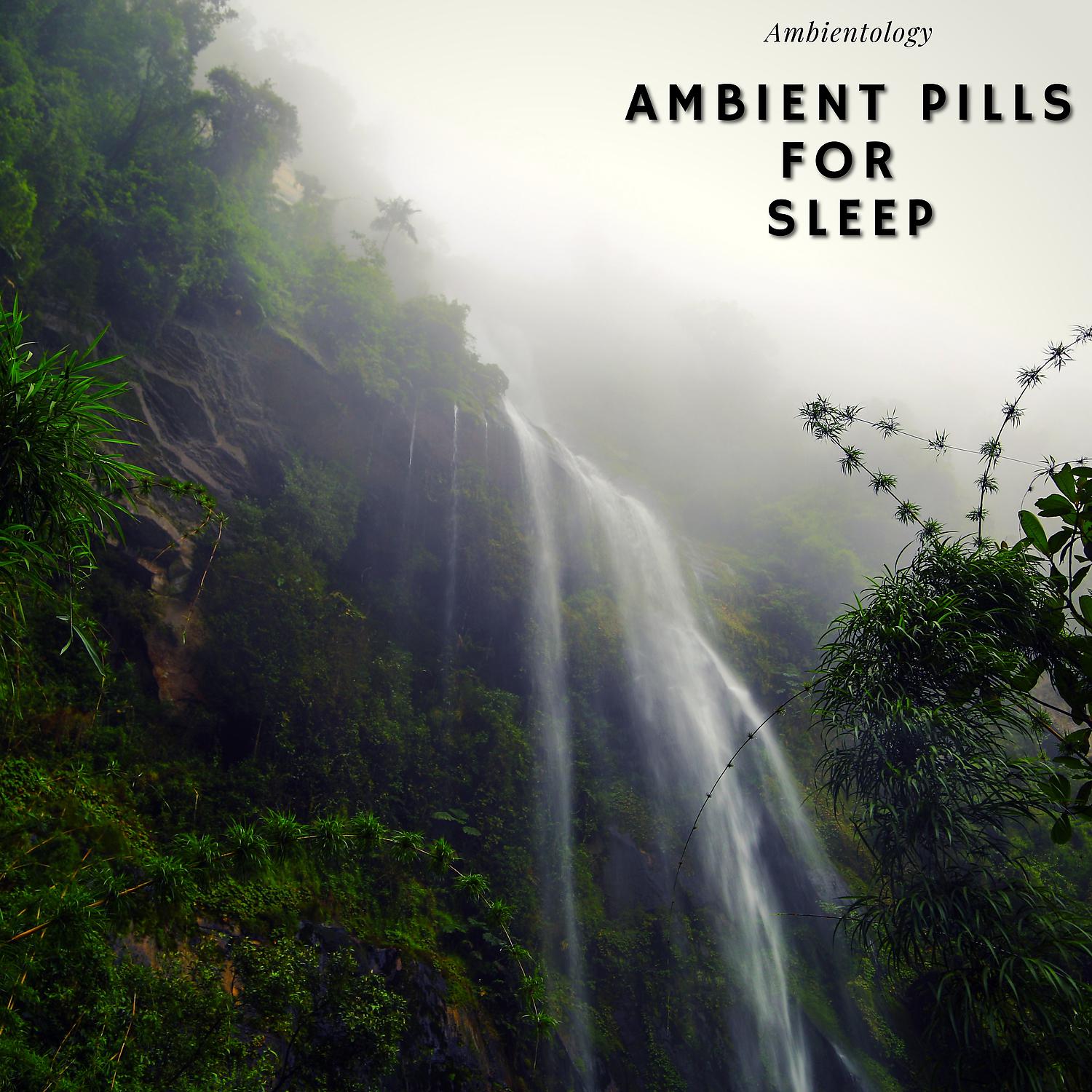 Постер альбома Ambient Pills for Sleep