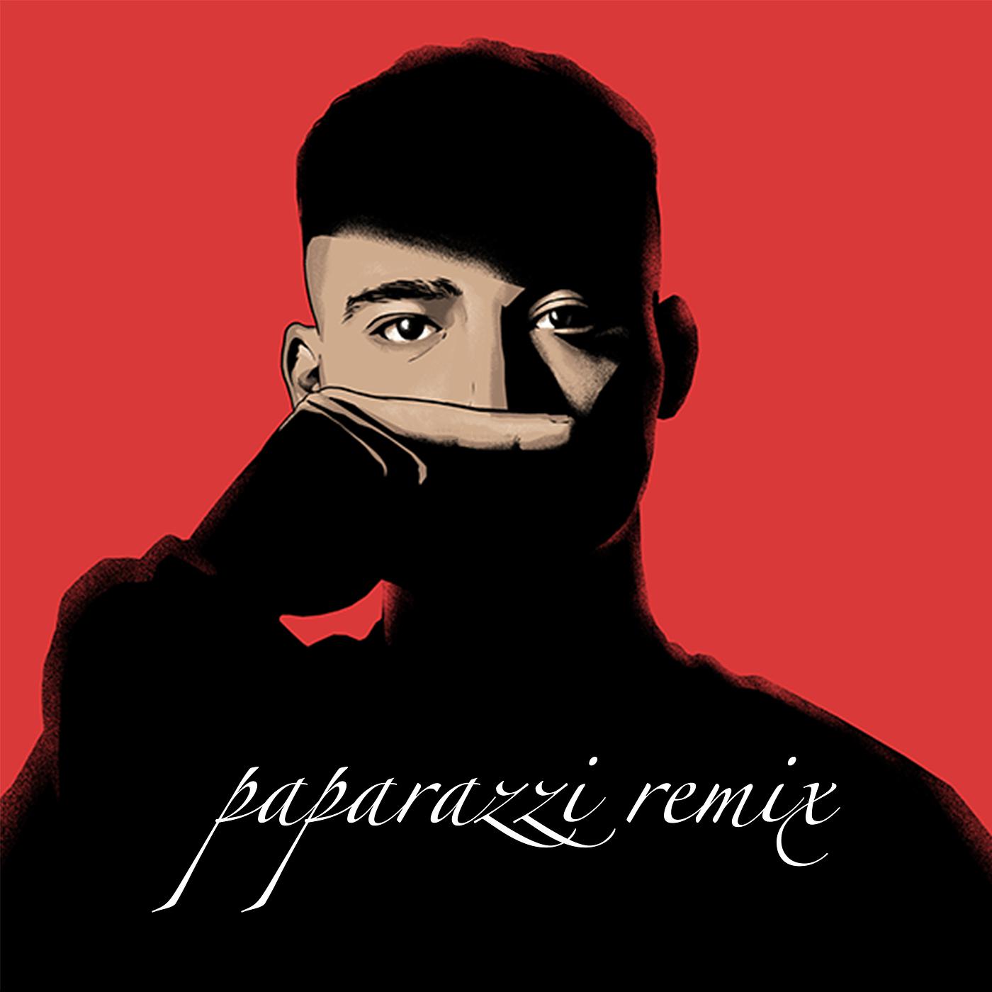Постер альбома Paparazzi (Remix)