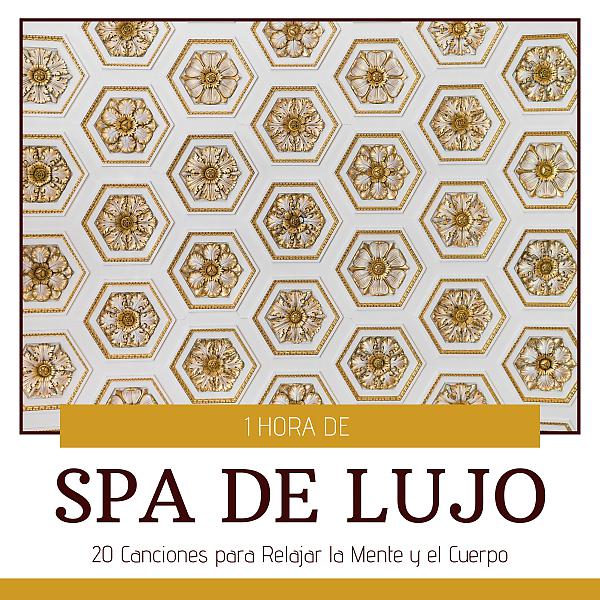 Постер альбома 1 Hora de Spa de Lujo - 20 Canciones para Relajar la Mente y el Cuerpo
