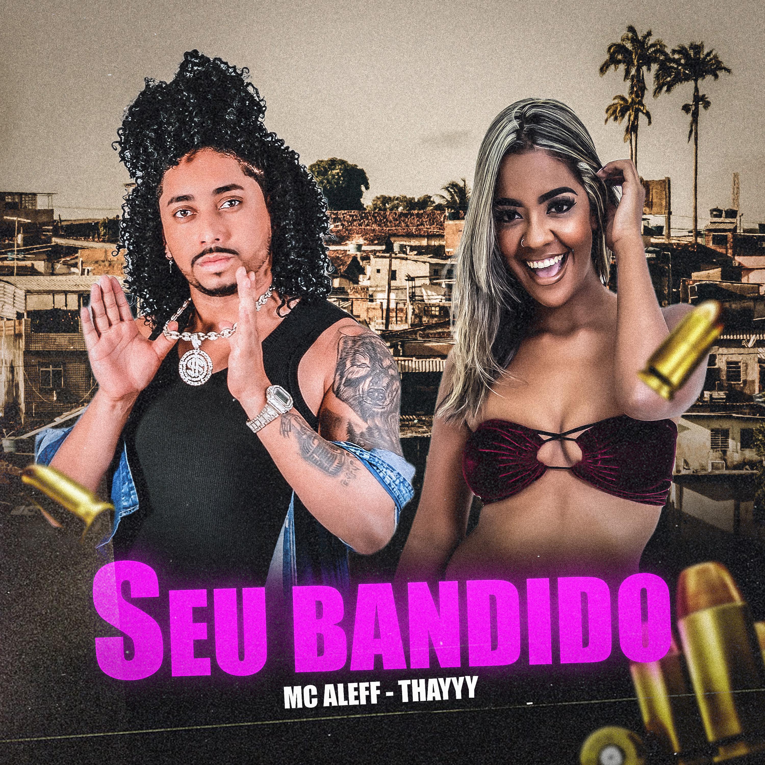 Постер альбома Seu Bandido