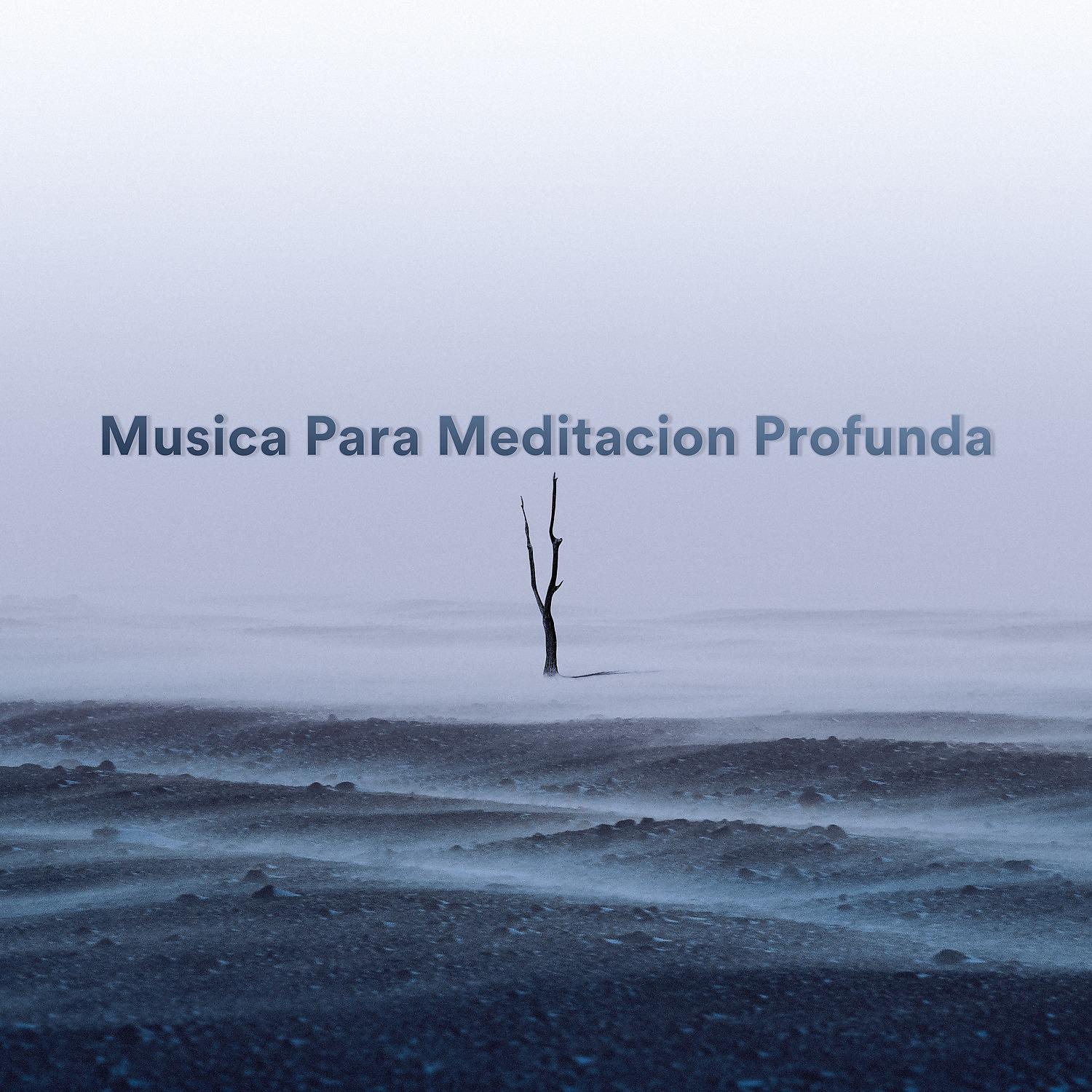 Постер альбома Música para Meditación Profunda