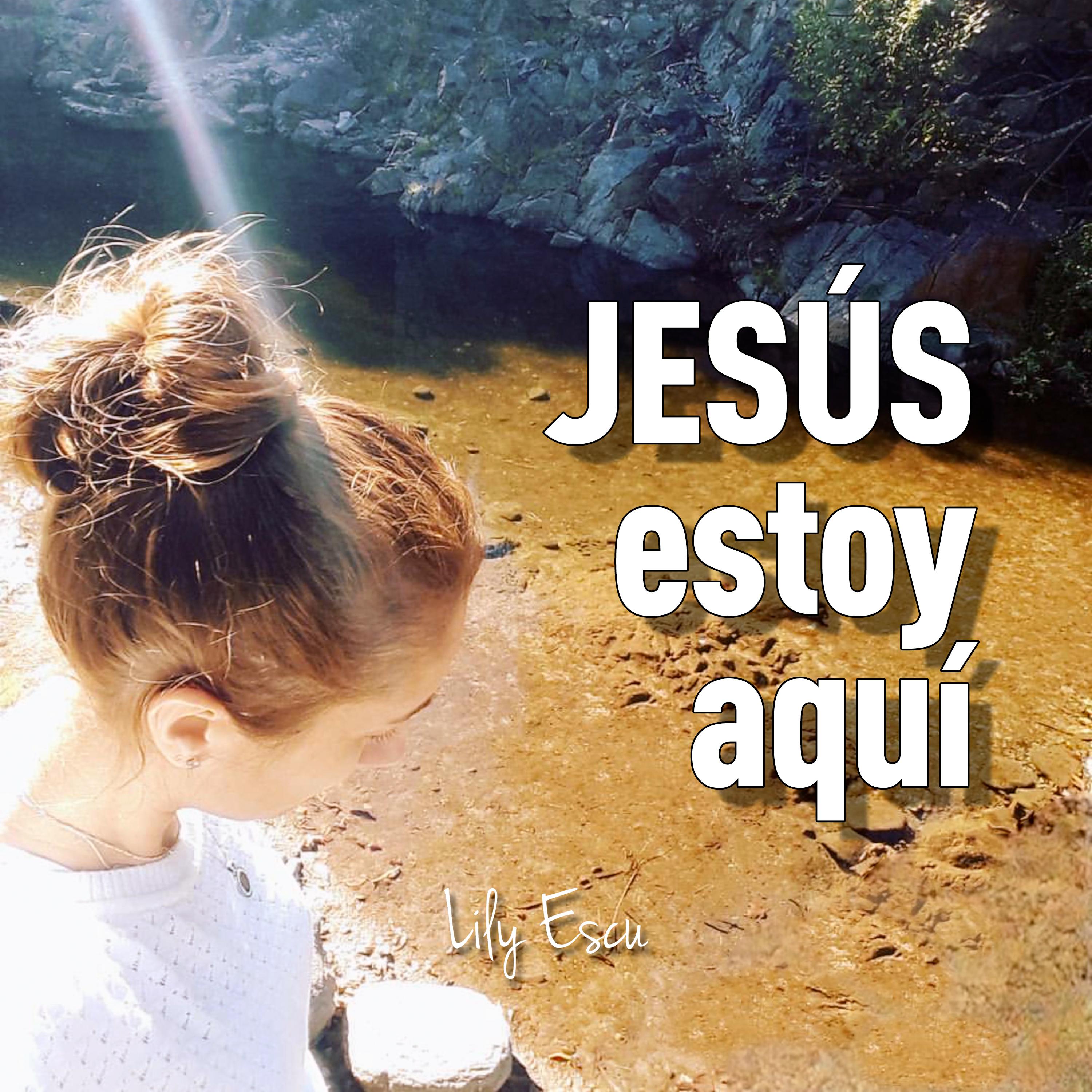 Постер альбома Jesús Estoy Aquí