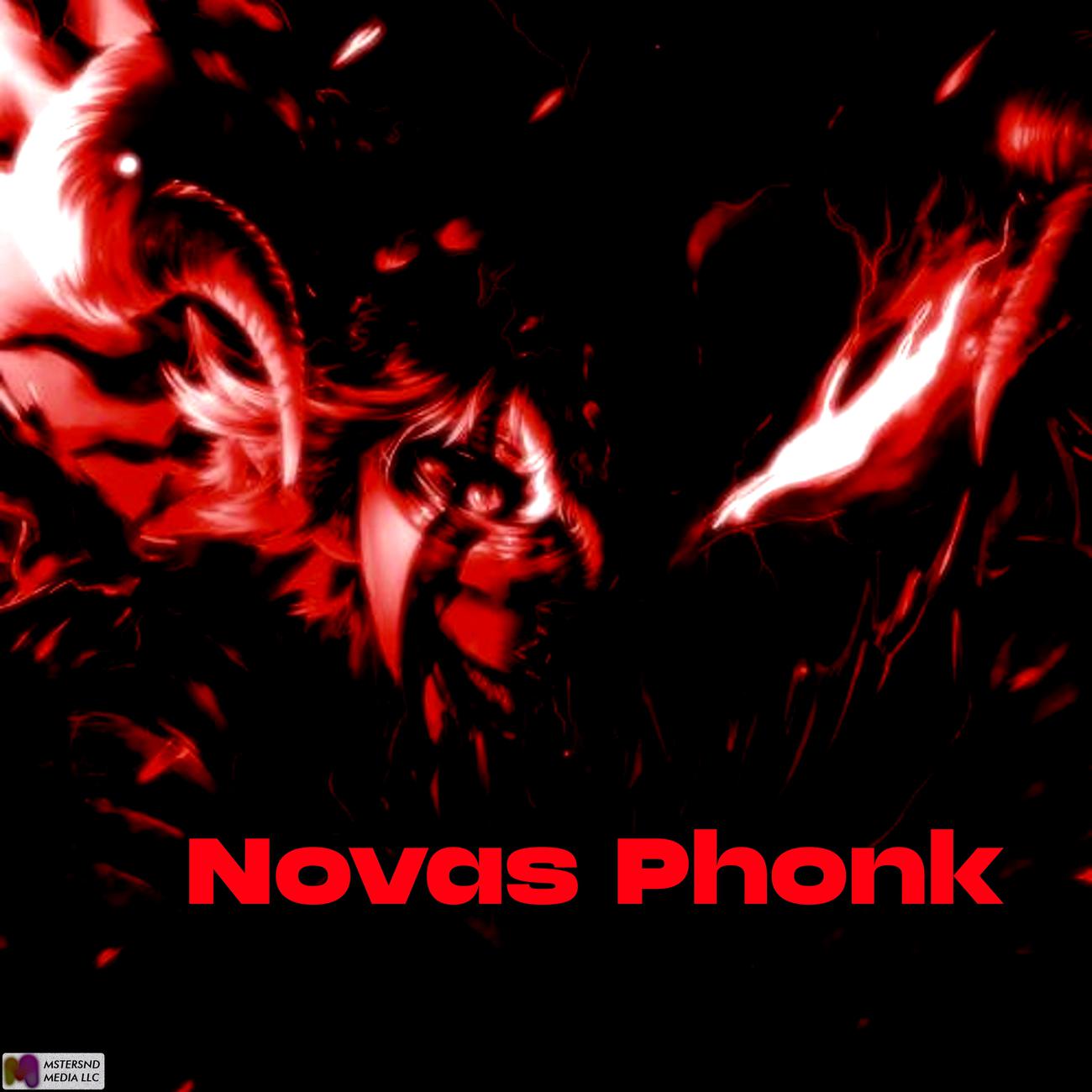 Постер альбома Novas Phonk