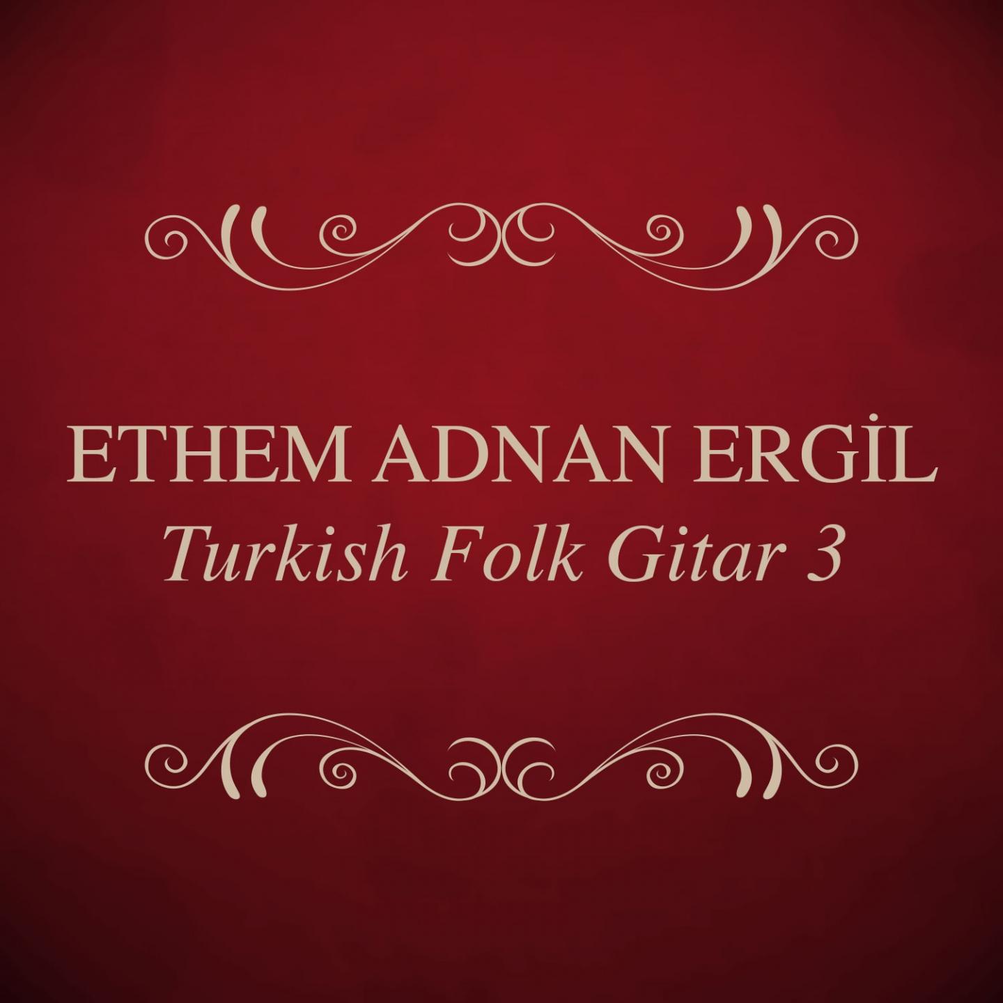 Постер альбома Turkish Folk Gitar, Vol. 3