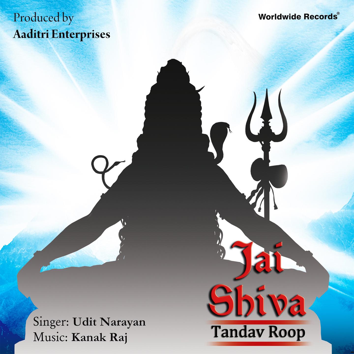 Постер альбома Jai Shiva: Tandav Roop