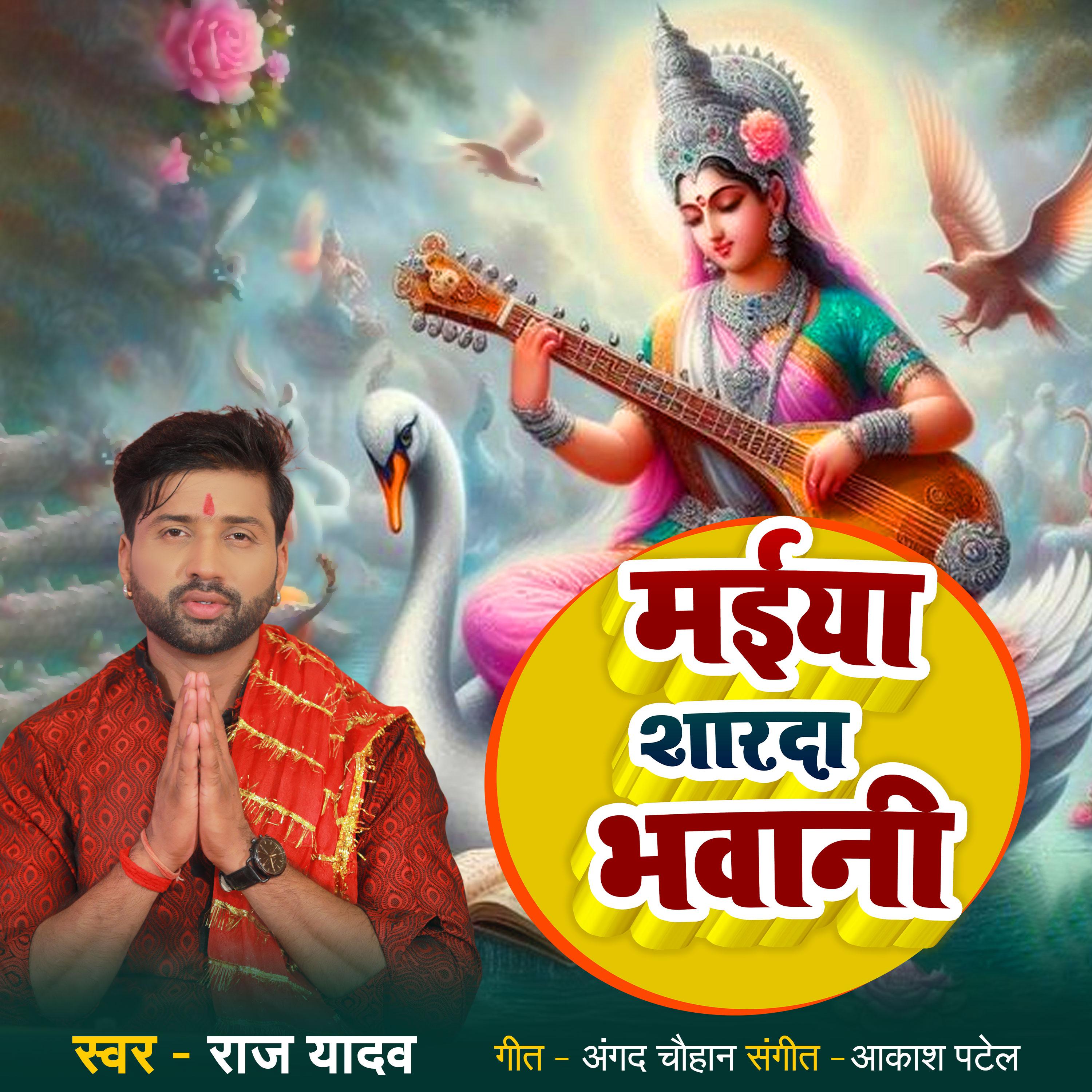 Постер альбома Maiya Sharda Bhawani
