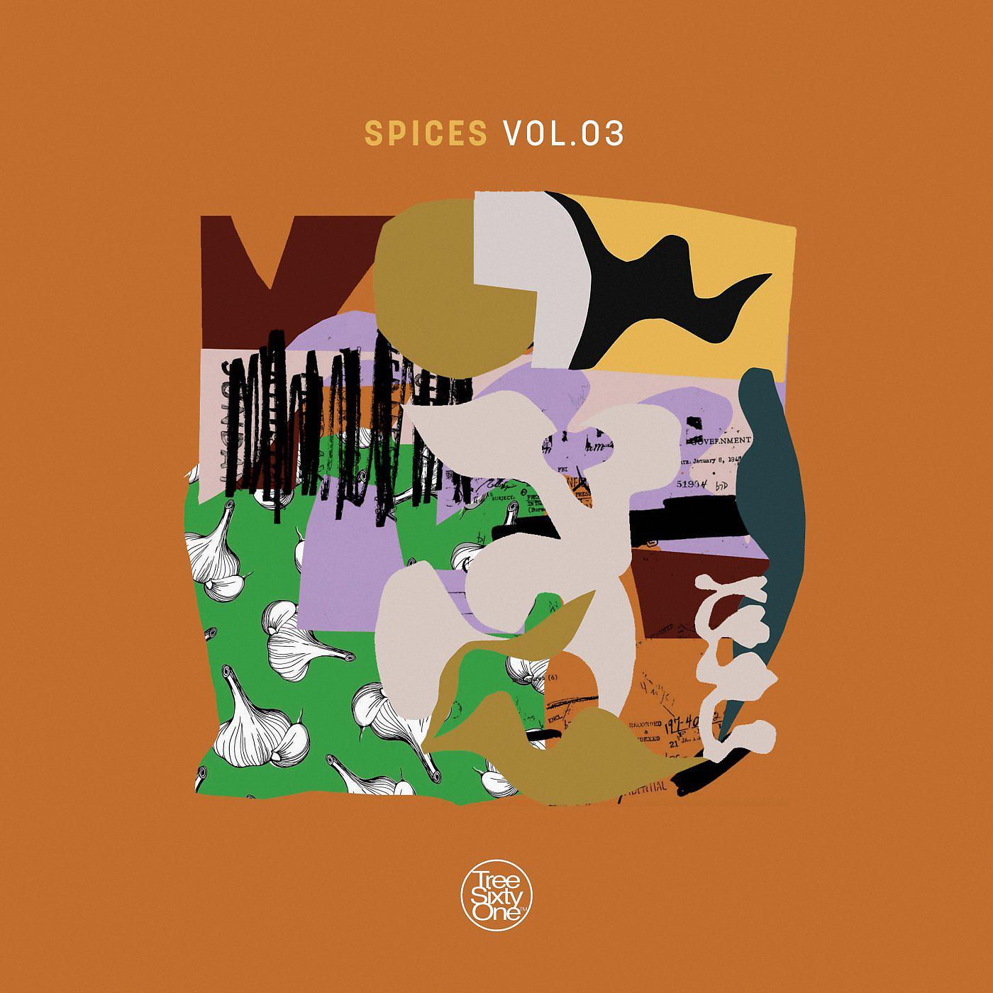 Постер альбома Spices, Vol. 03