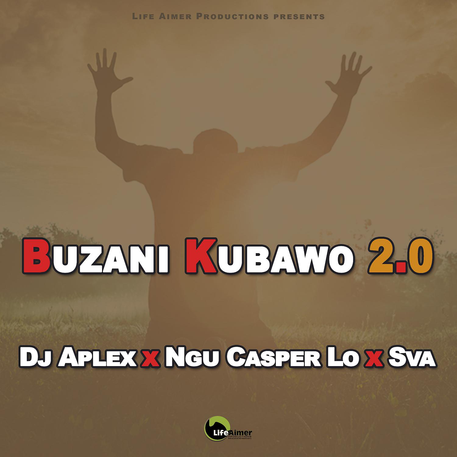 Постер альбома Buzani Kubawo 2.0 (Gqom Mix)