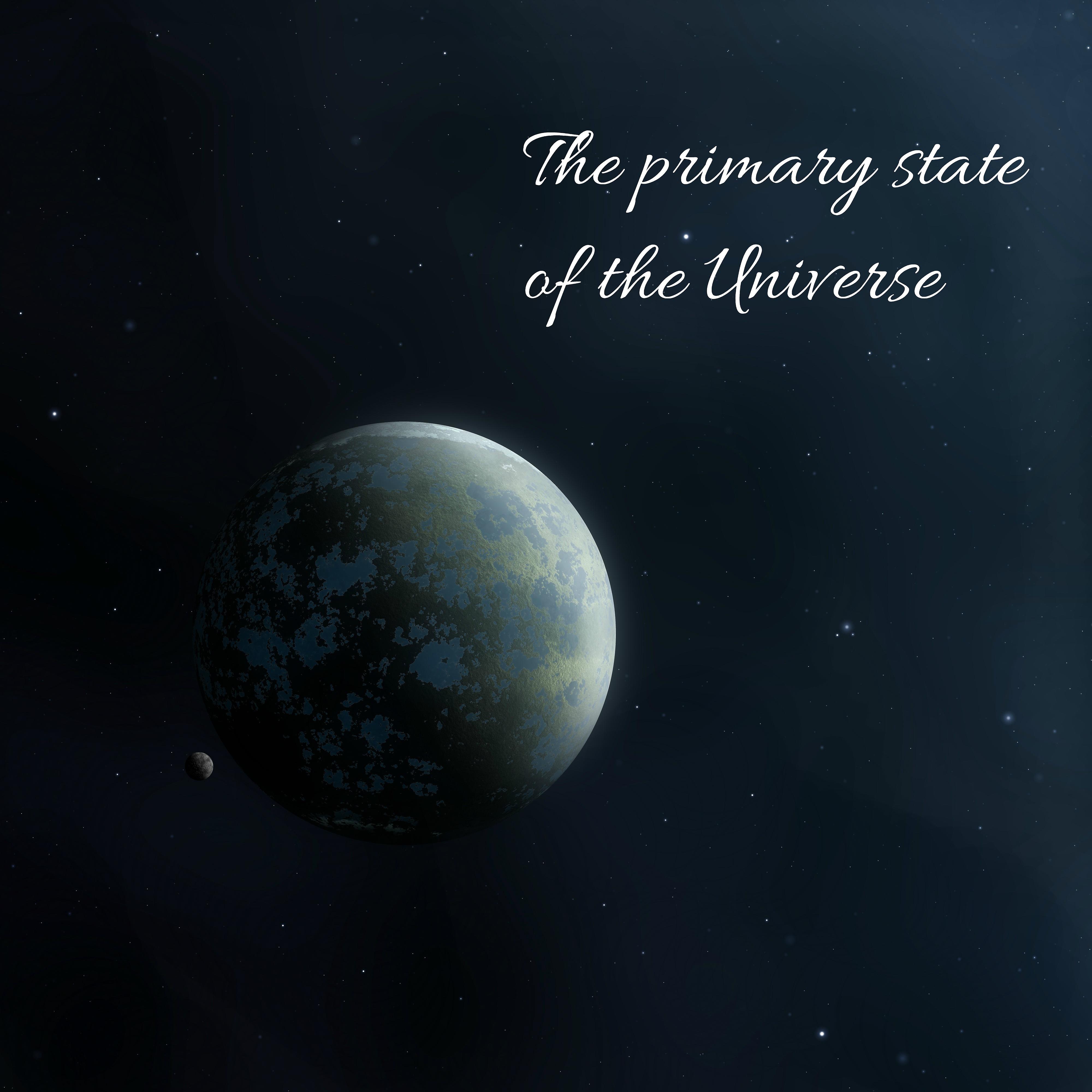 Постер альбома The Primary State of the Universe