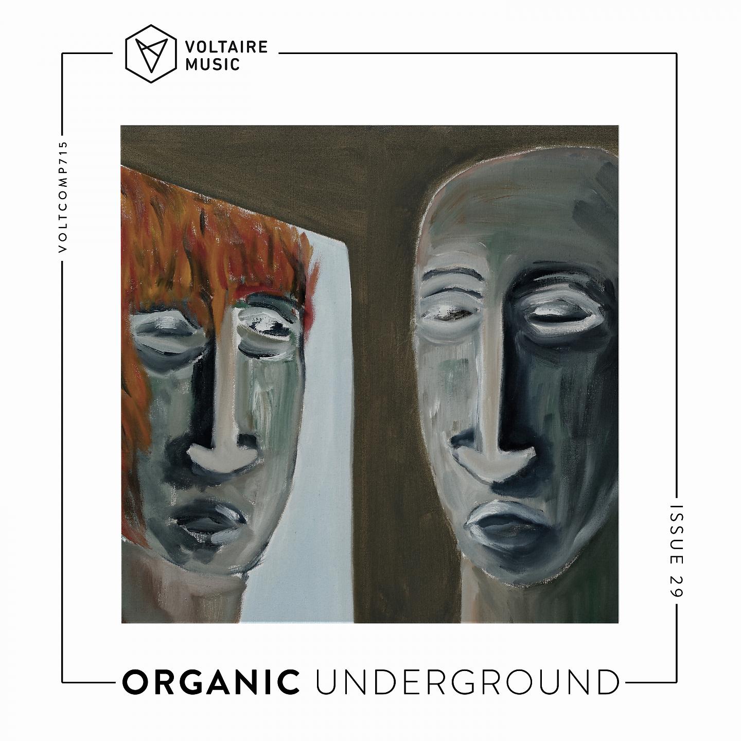 Постер альбома Organic Underground Issue 29