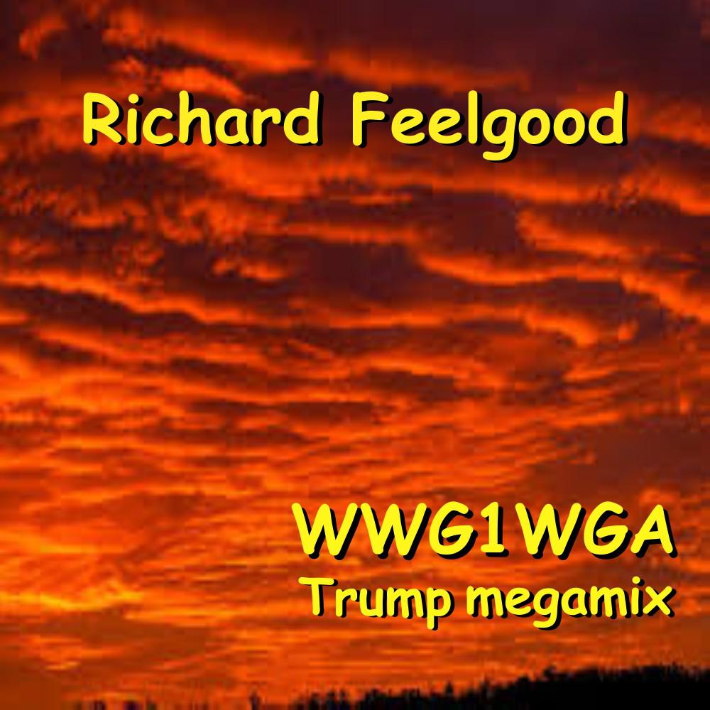 Постер альбома Wwg1Wga Trump Megamix