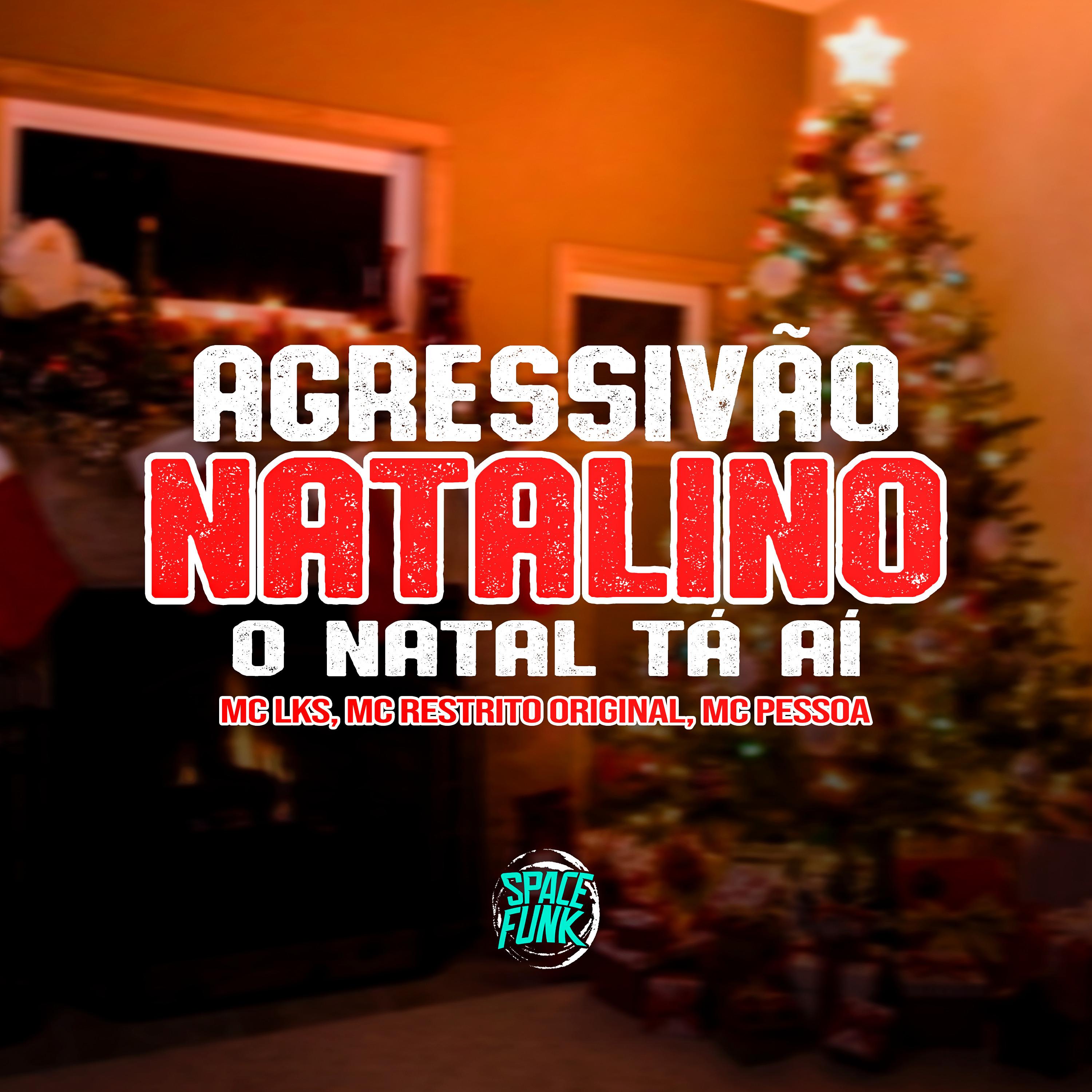 Постер альбома Agressivão Natalino - O Natal Tá Aí