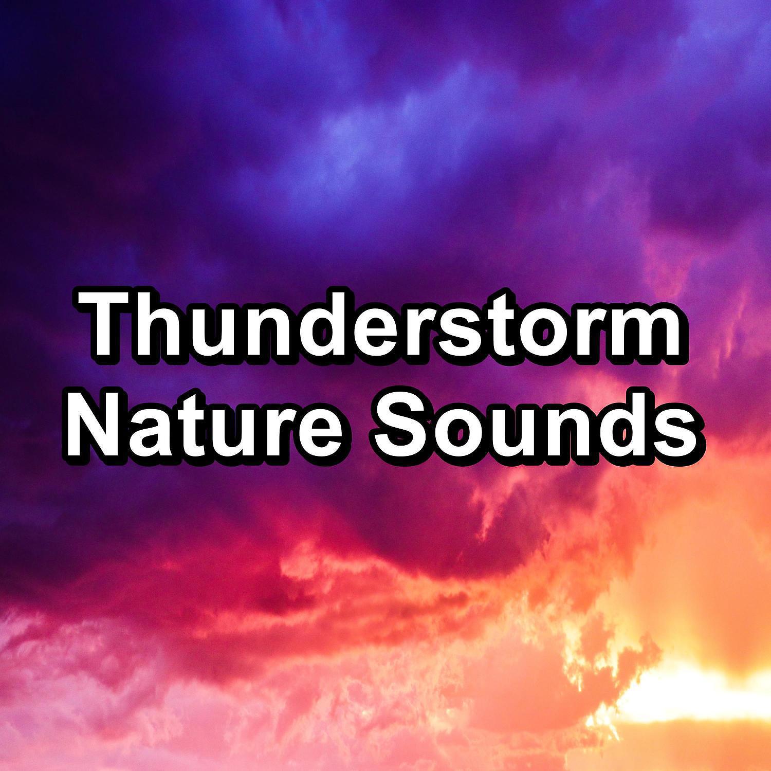 Постер альбома Thunderstorm Nature Sounds