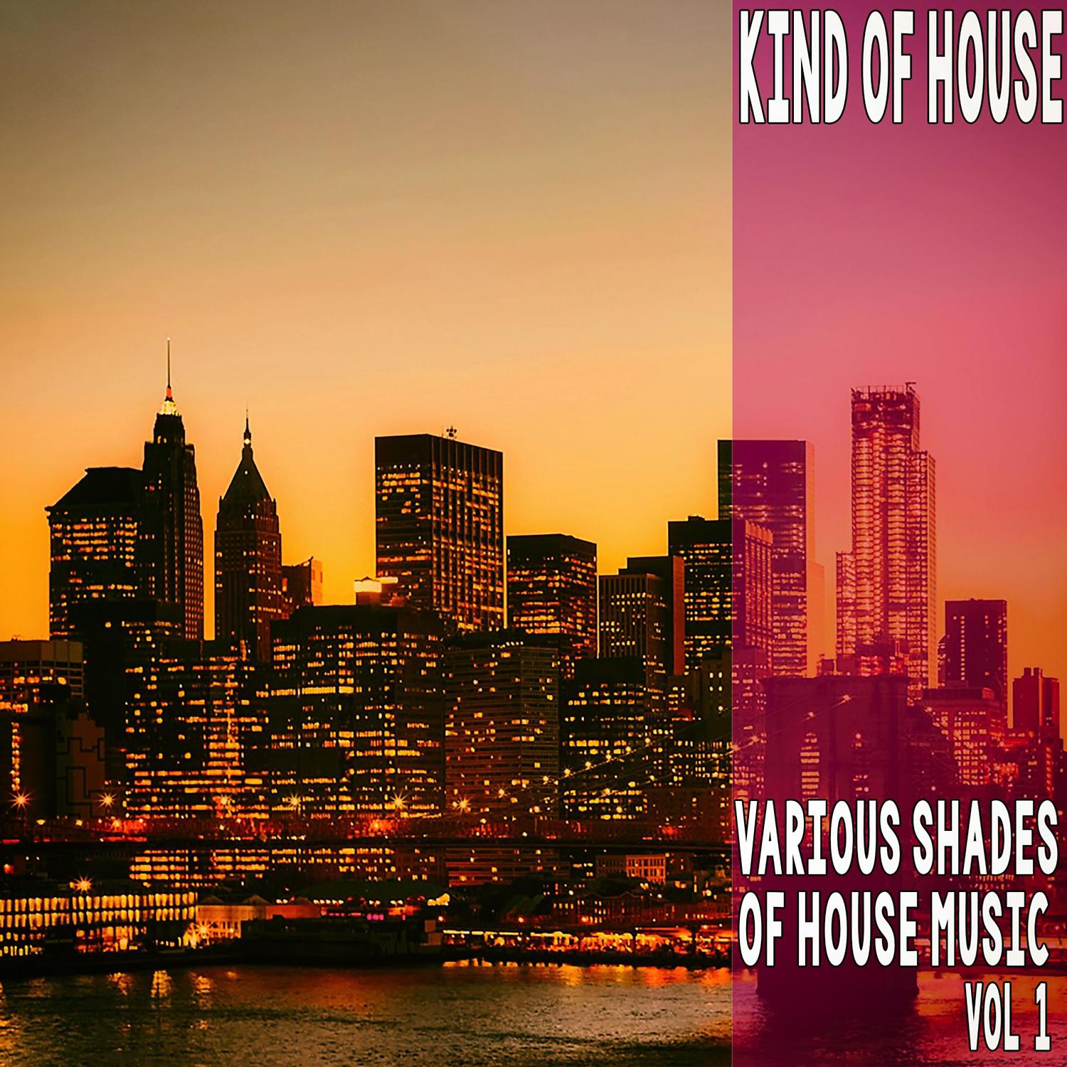Постер альбома Kind of House, Vol. 1 - Various Shades of House Music