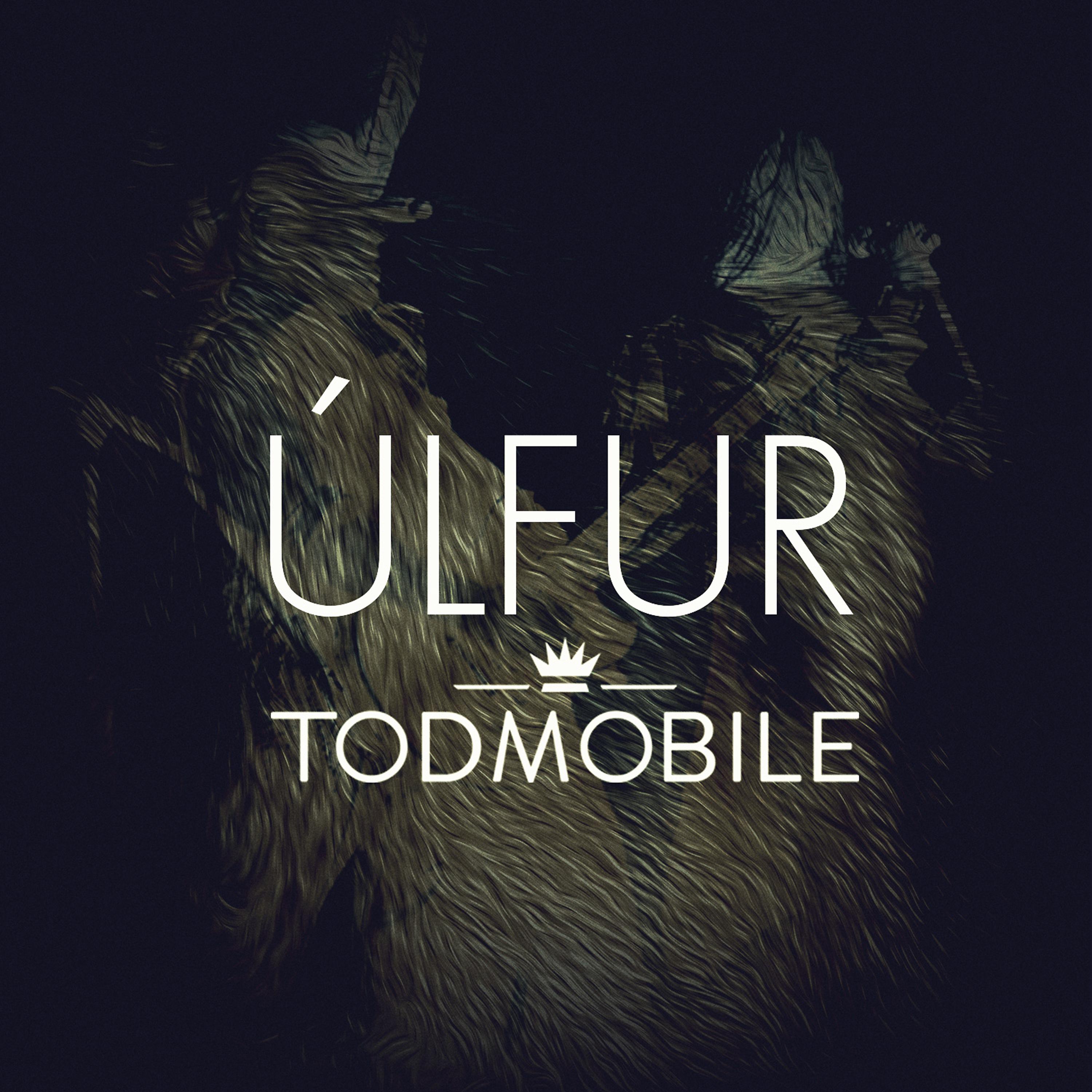 Постер альбома Úlfur