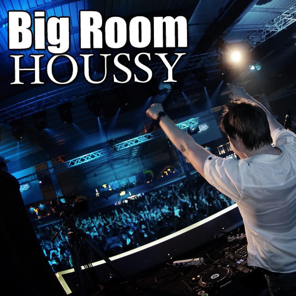 Постер альбома Big Room Houssy