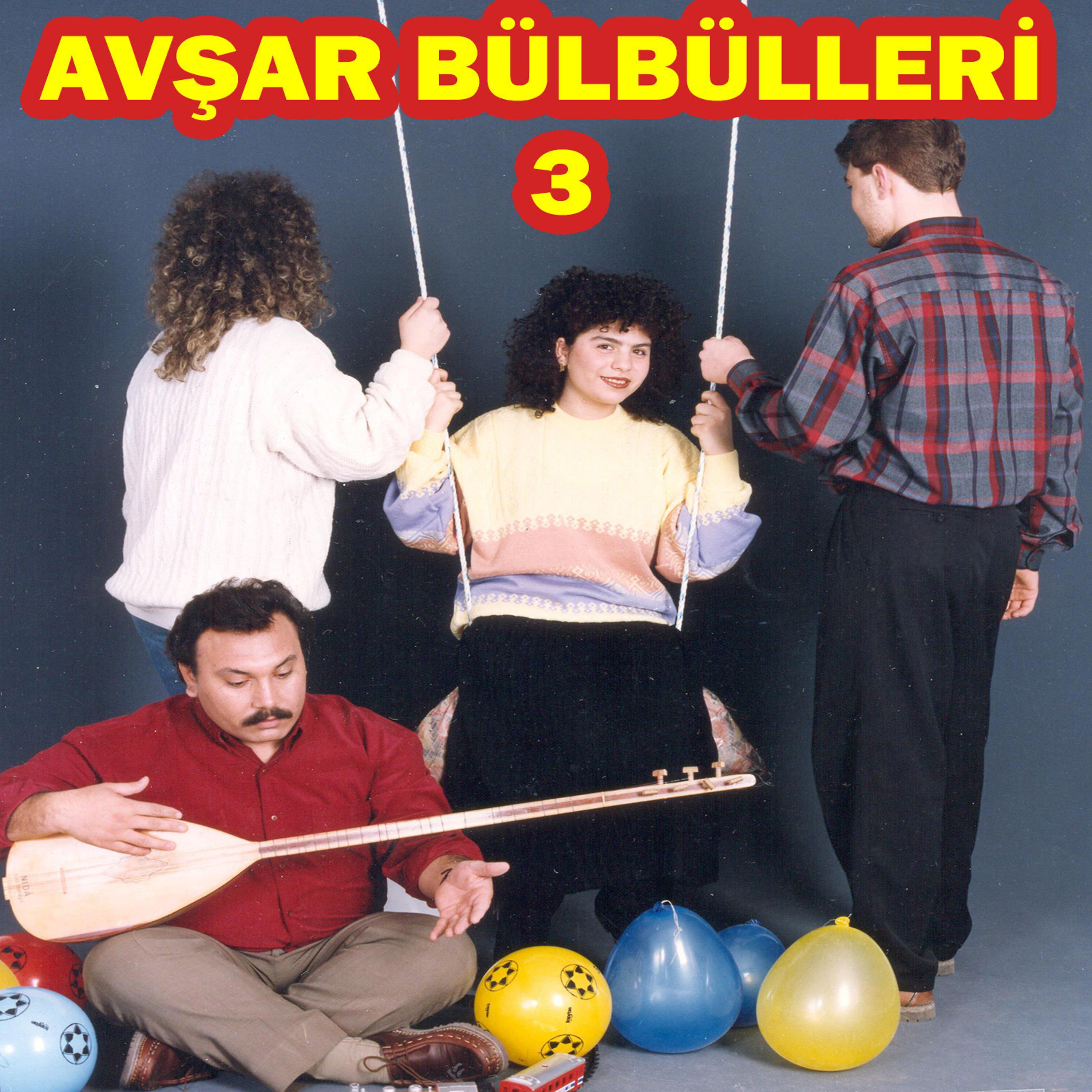 Постер альбома Avşar Bülbülleri, No. 3