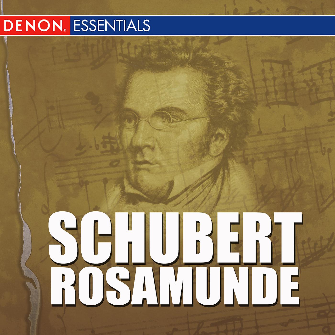 Постер альбома Schubert - Rosamunde
