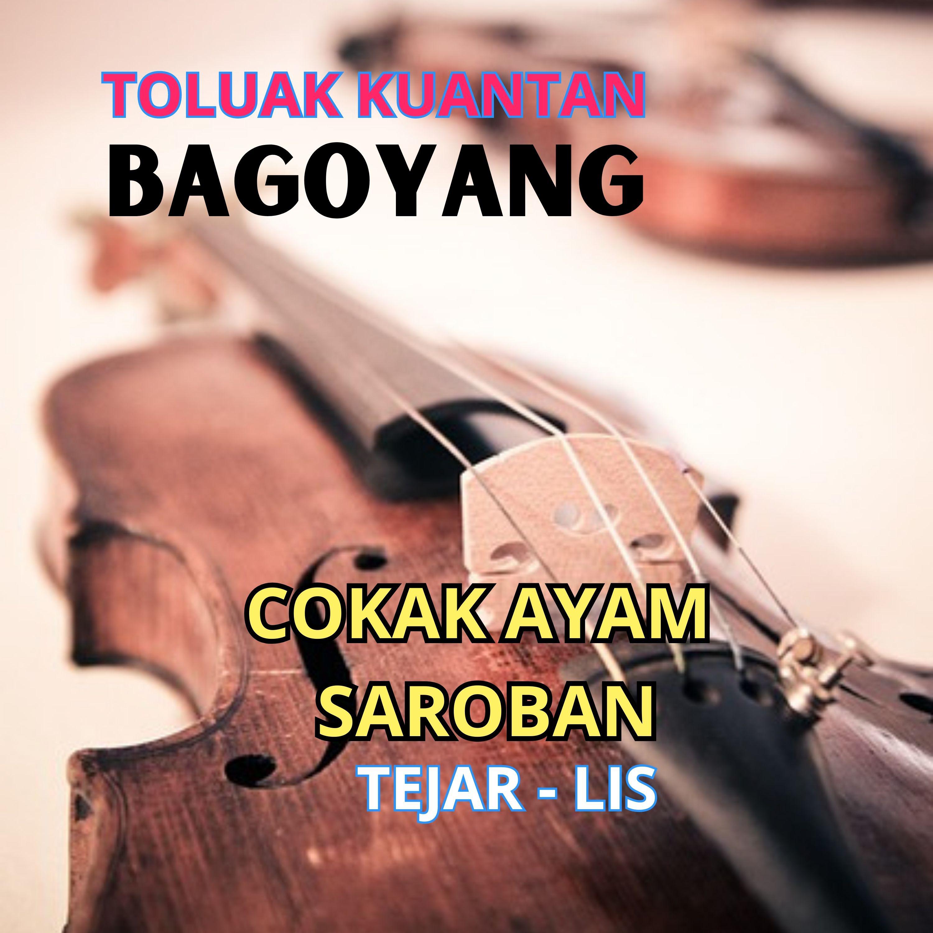 Постер альбома Cokak Ayam Saroban