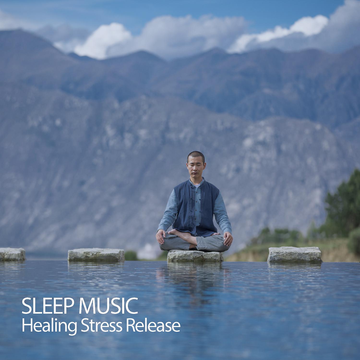 Постер альбома Sleep Music: Healing Stress Release