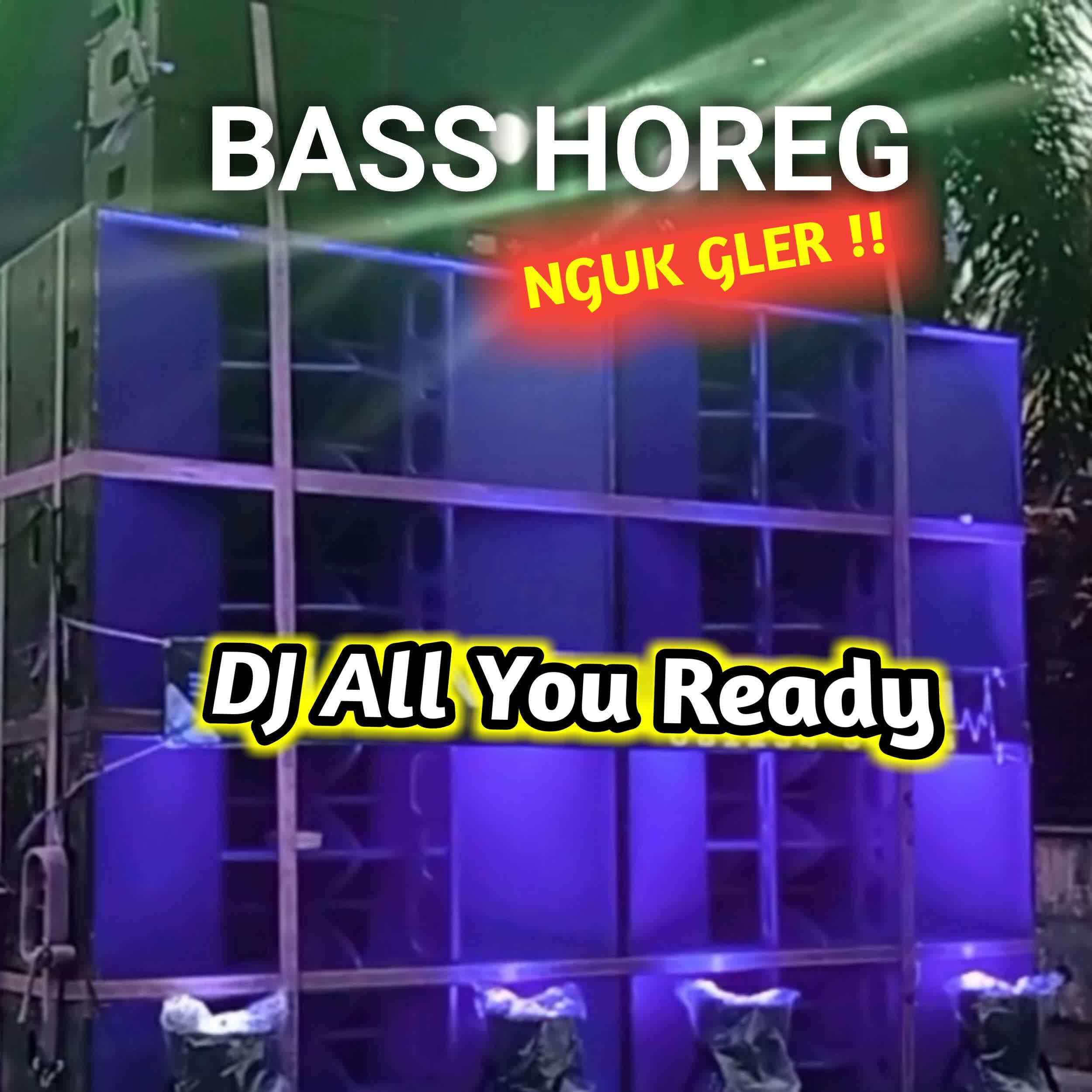 Постер альбома DJ All You Ready Remix