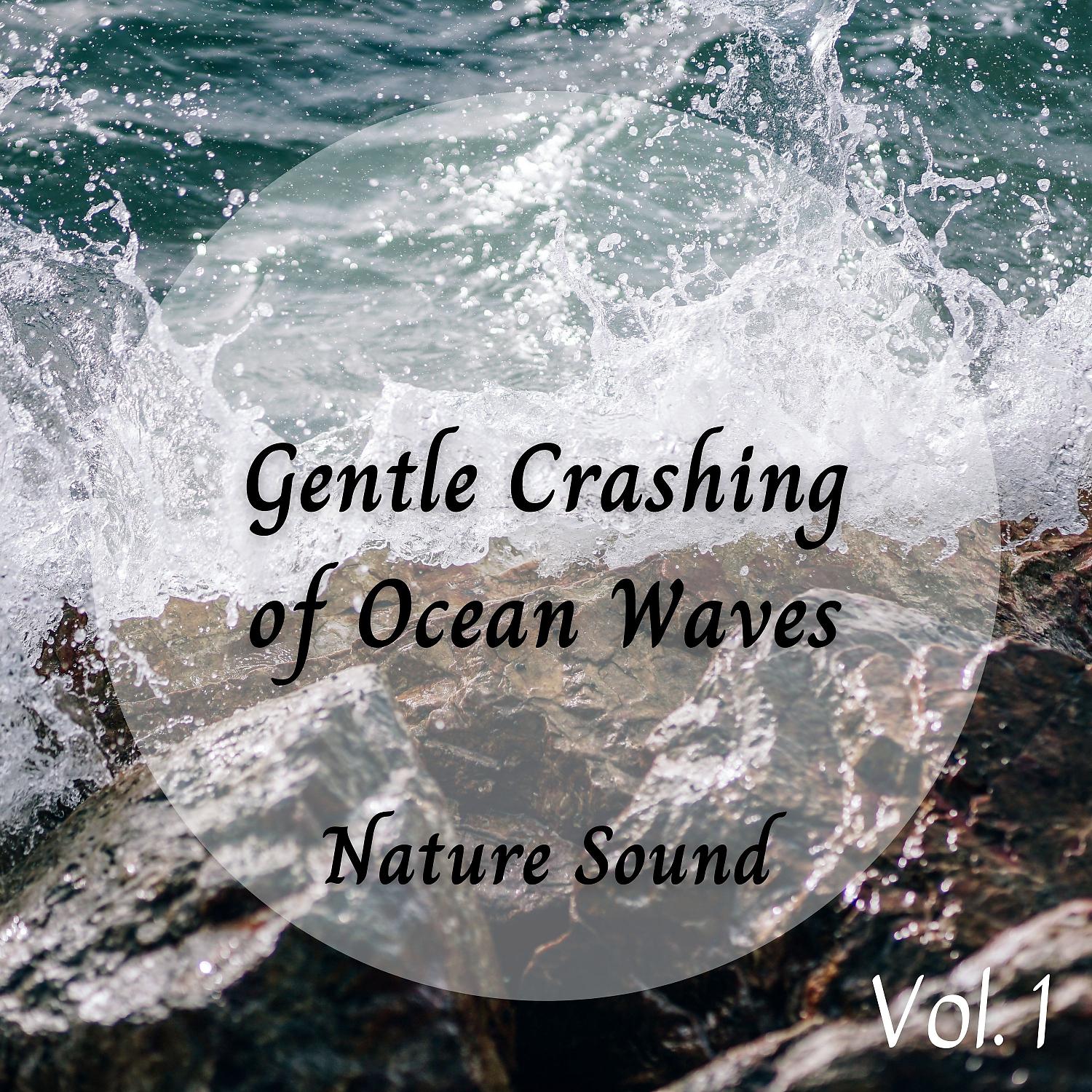 Постер альбома Nature Sound: Gentle Crashing of Ocean Waves Vol. 1