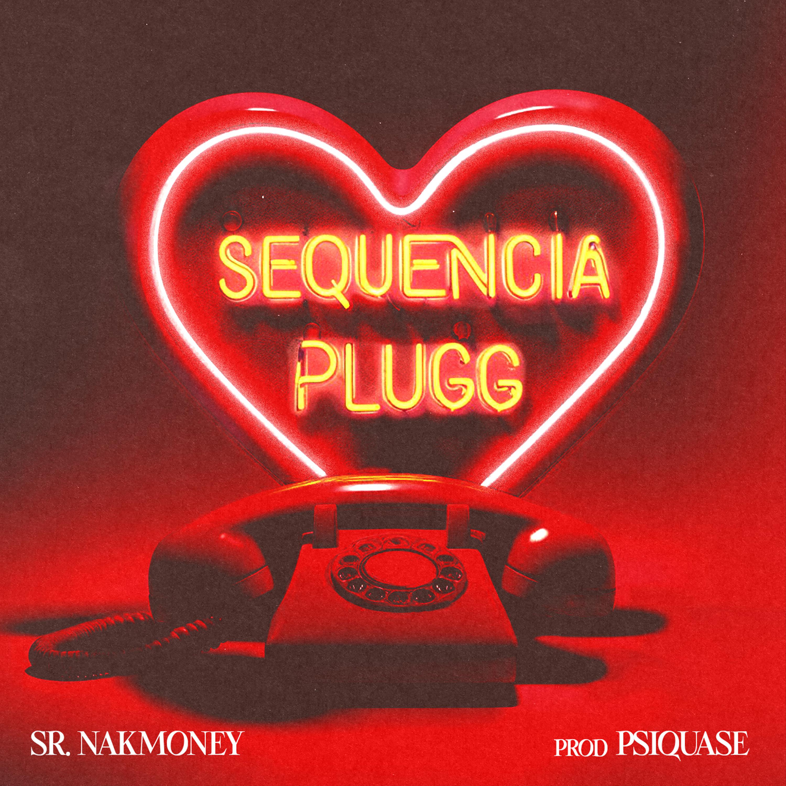 Постер альбома Sequência Plugg