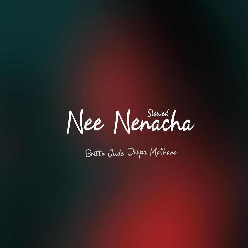 Постер альбома Nee Nenacha (Slowed)