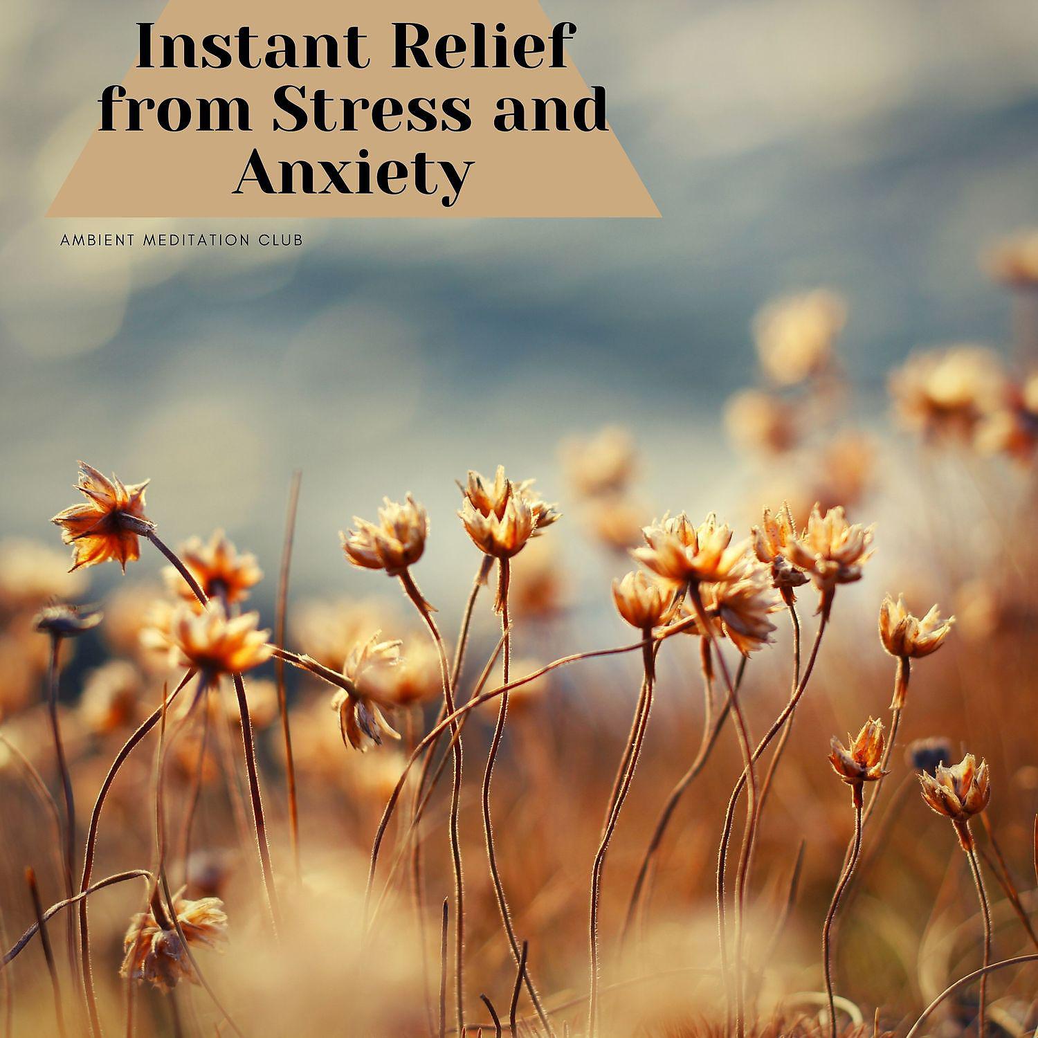 Постер альбома Instant Relief from Stress and Anxiety