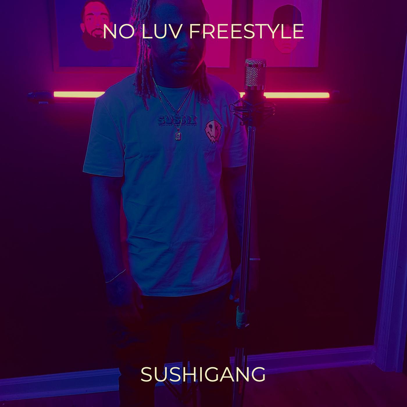 Постер альбома No Luv Freestyle