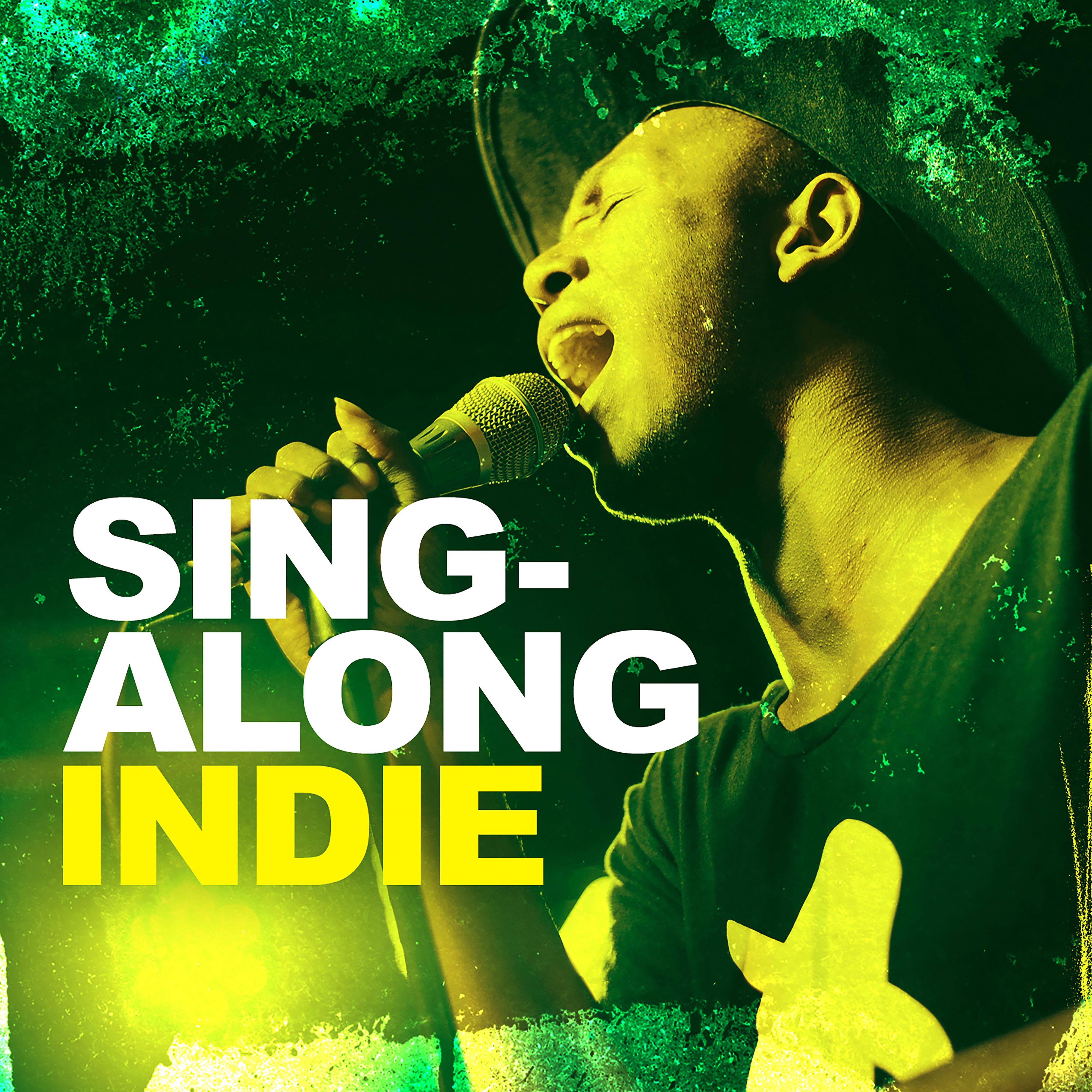 Постер альбома Sing-along Indie