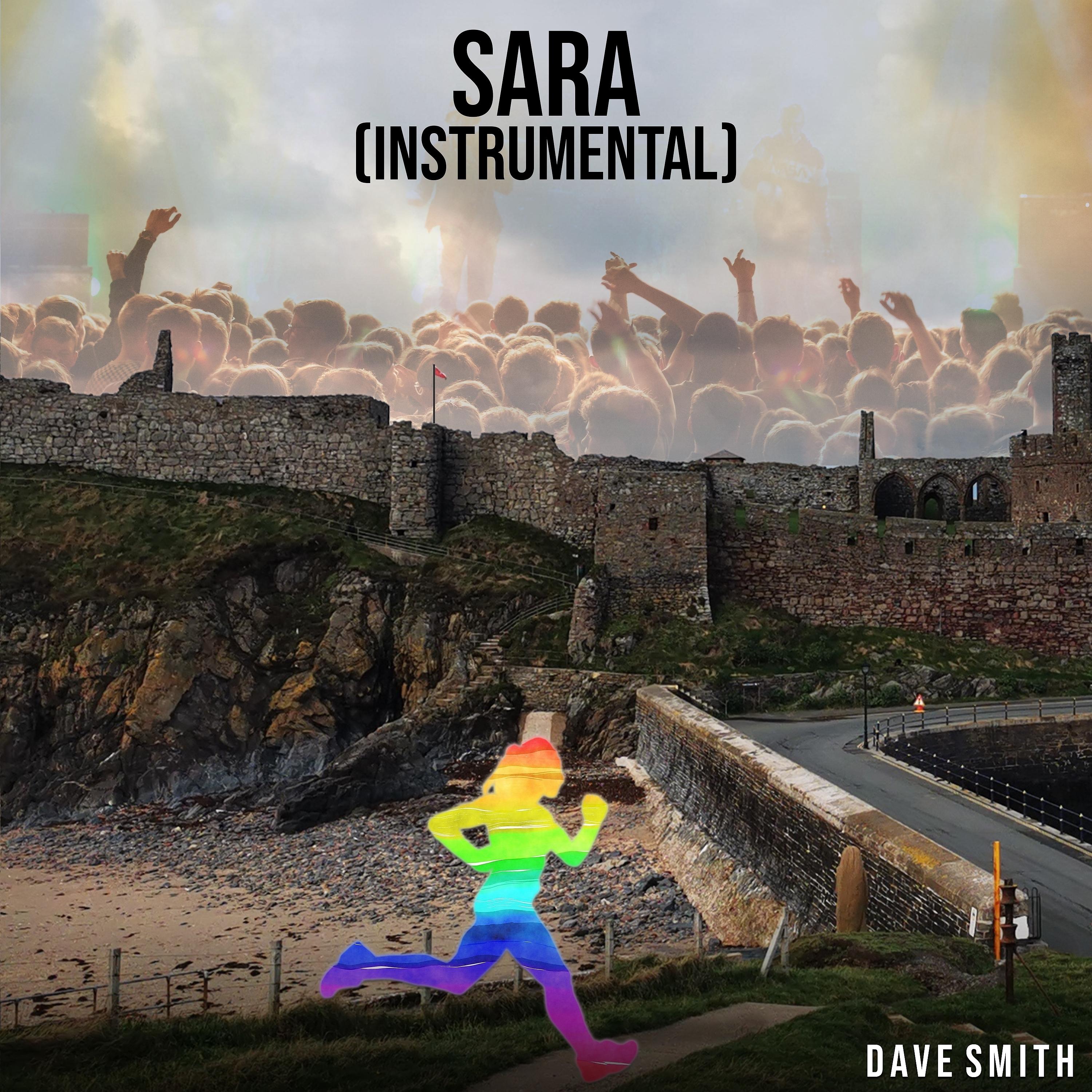 Постер альбома Sara (Instrumental)