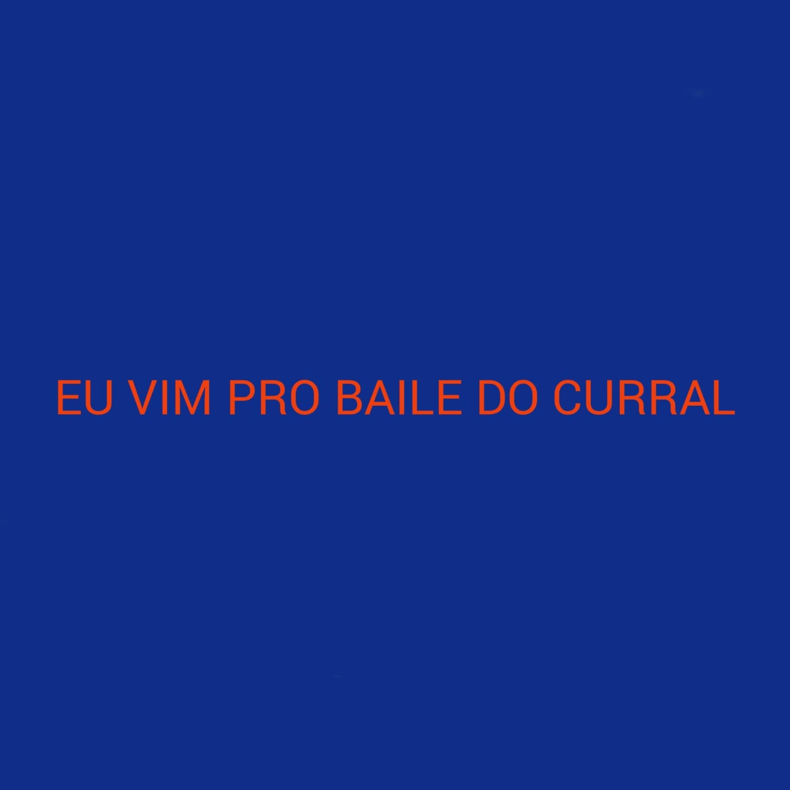 Постер альбома Eu Vim pro Baile do Curral