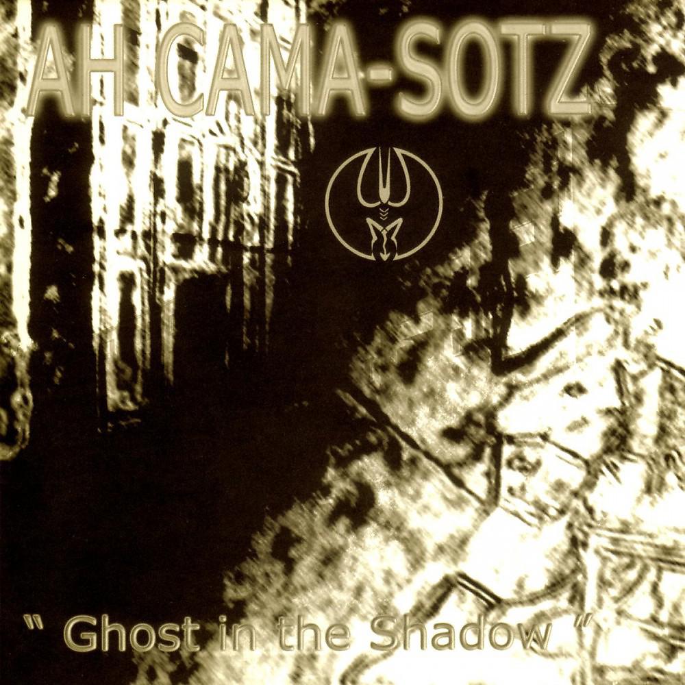 Постер альбома Ghost in the Shadow