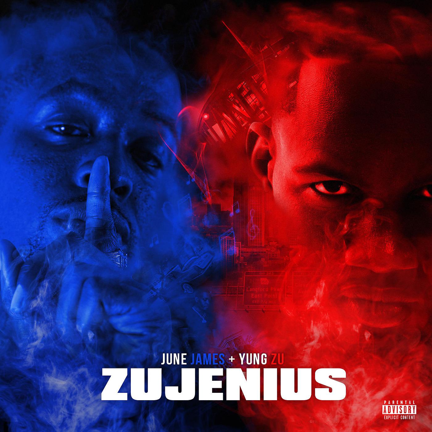 Постер альбома Zu Jenius