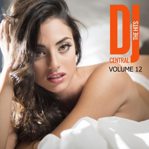 Постер альбома DJ Central - The Hits, Vol. 12