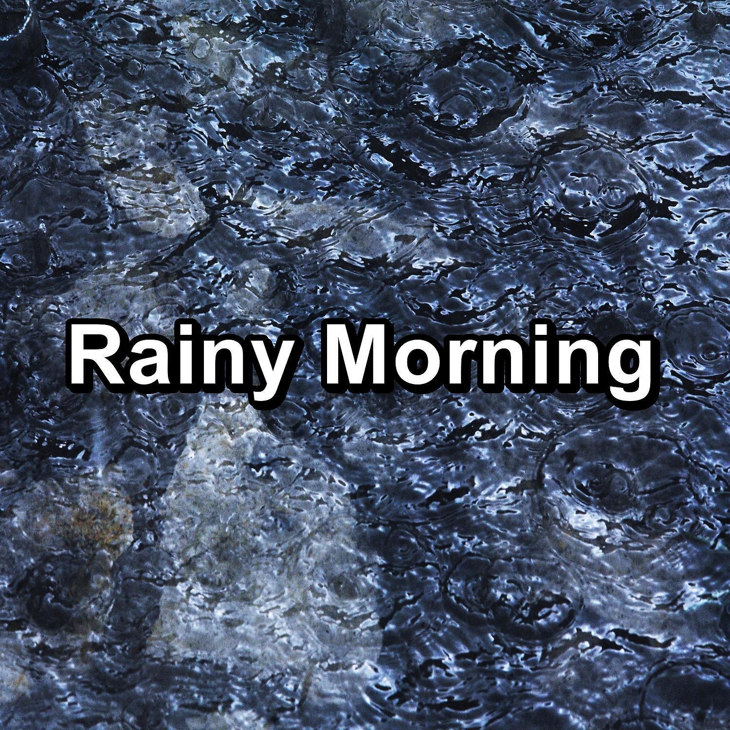 Постер альбома Rainy Morning