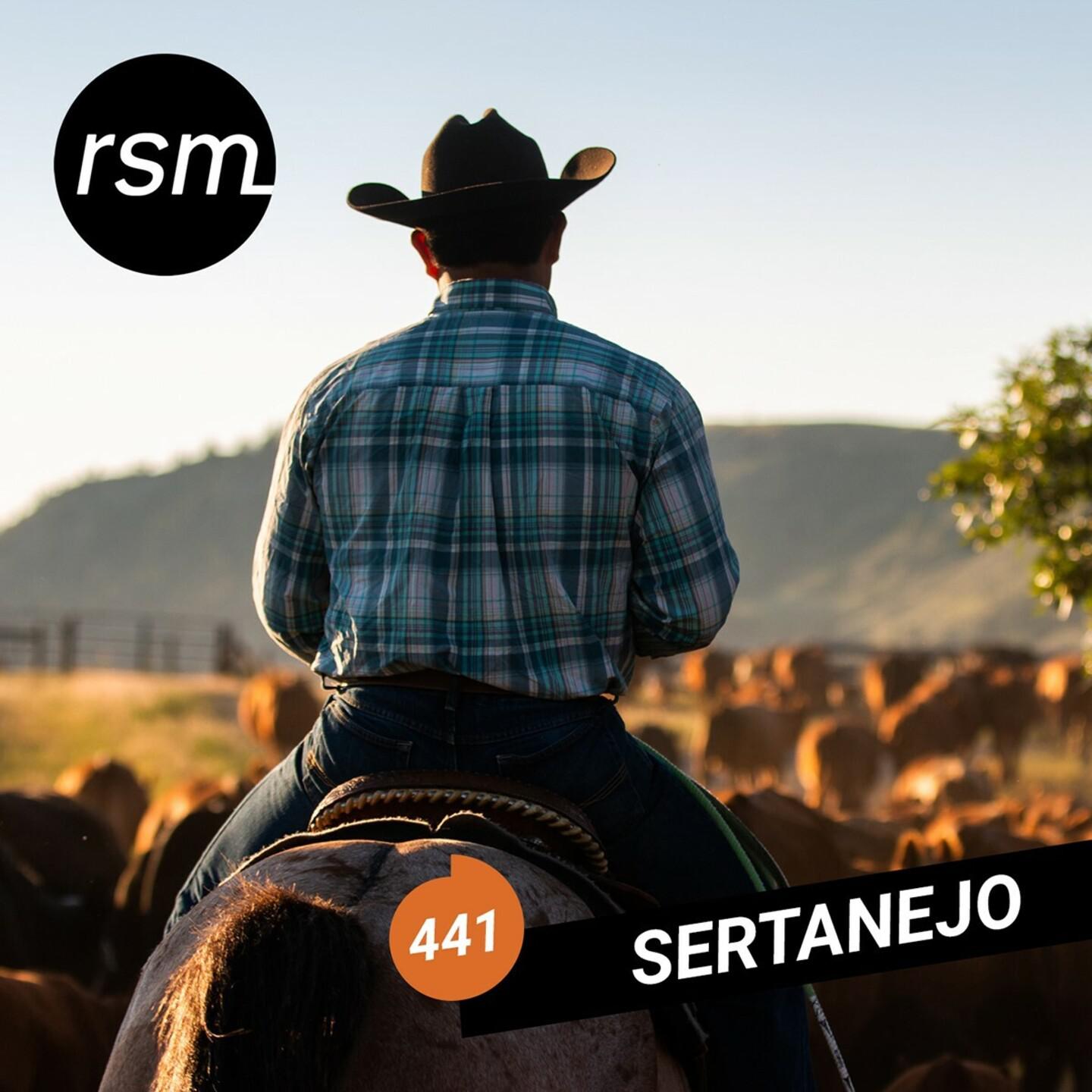 Постер альбома Sertanejo