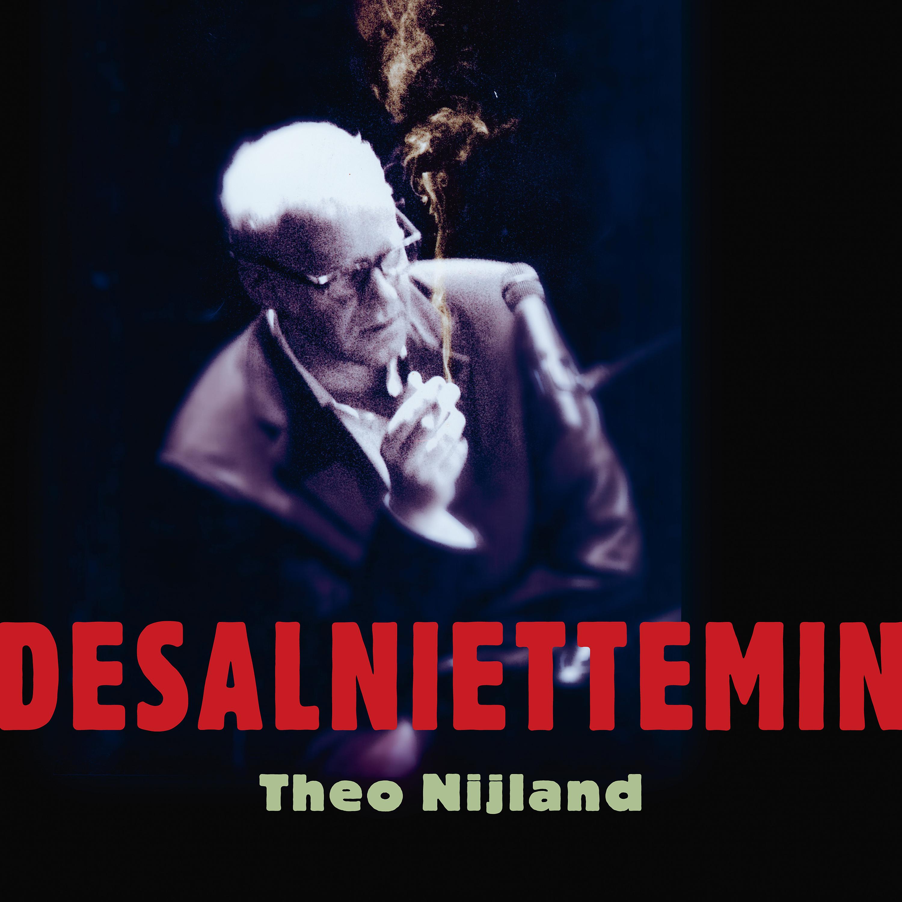 Постер альбома Desalniettemin